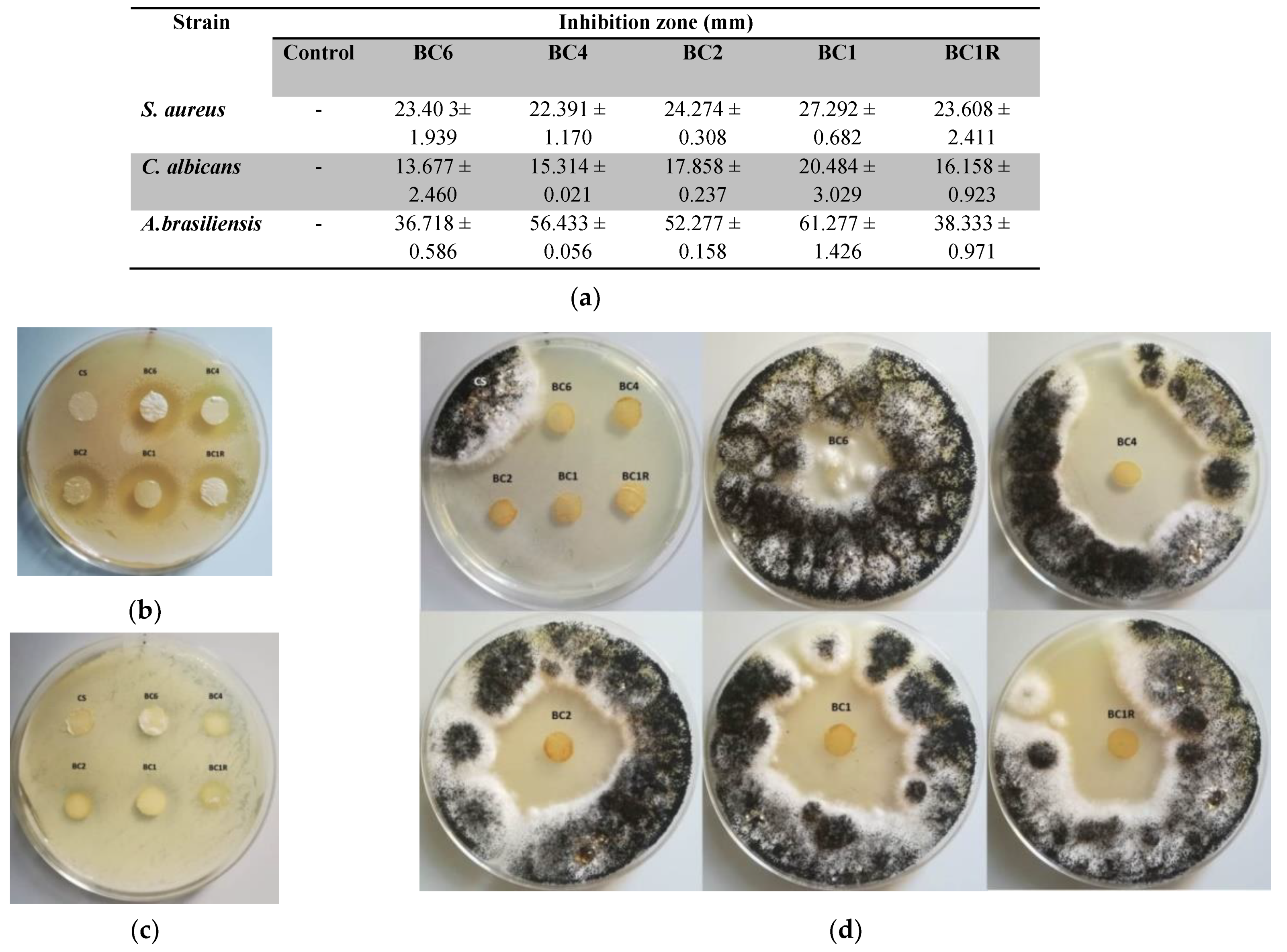 Pharmaceutics 14 00117 g009