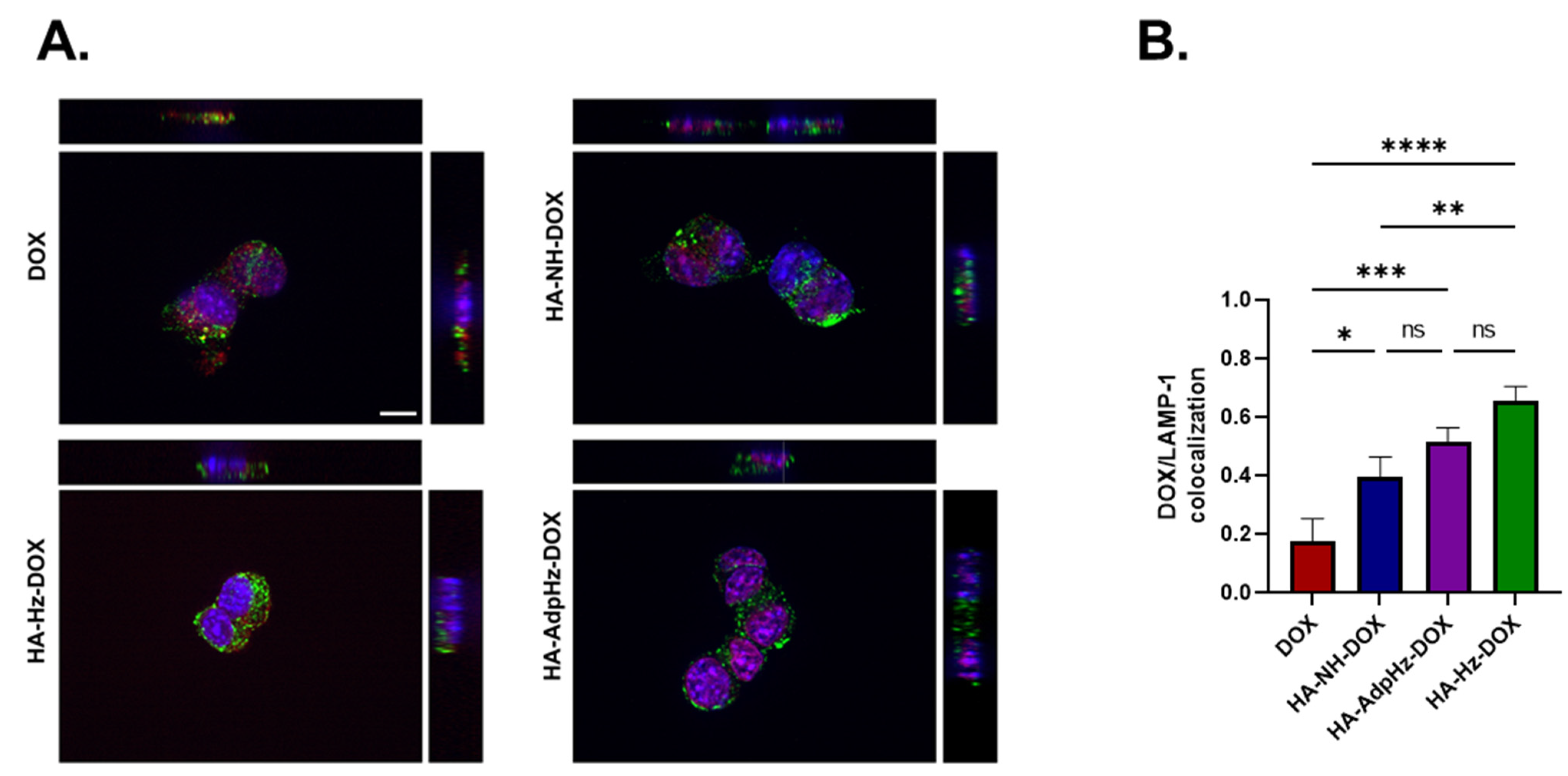 Pharmaceutics 14 00124 g004