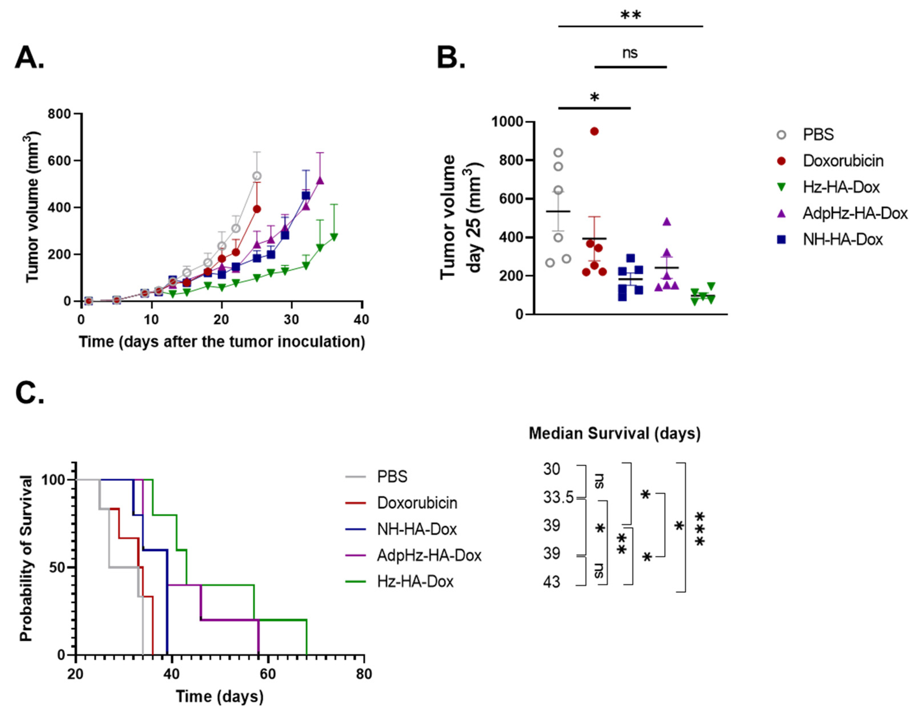 Pharmaceutics 14 00124 g005