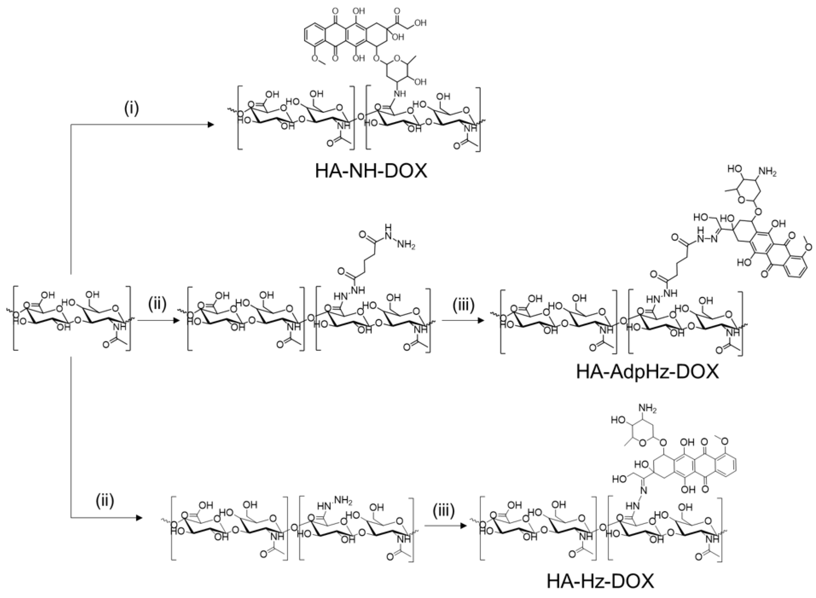 Pharmaceutics 14 00124 sch001