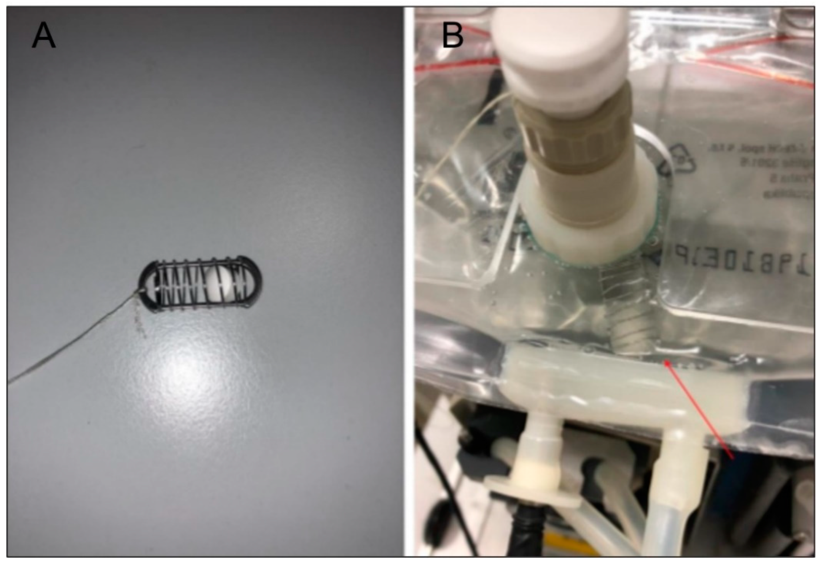 Pharmaceutics 14 00127 g003 Pharmaceutics 14 00127 g003
