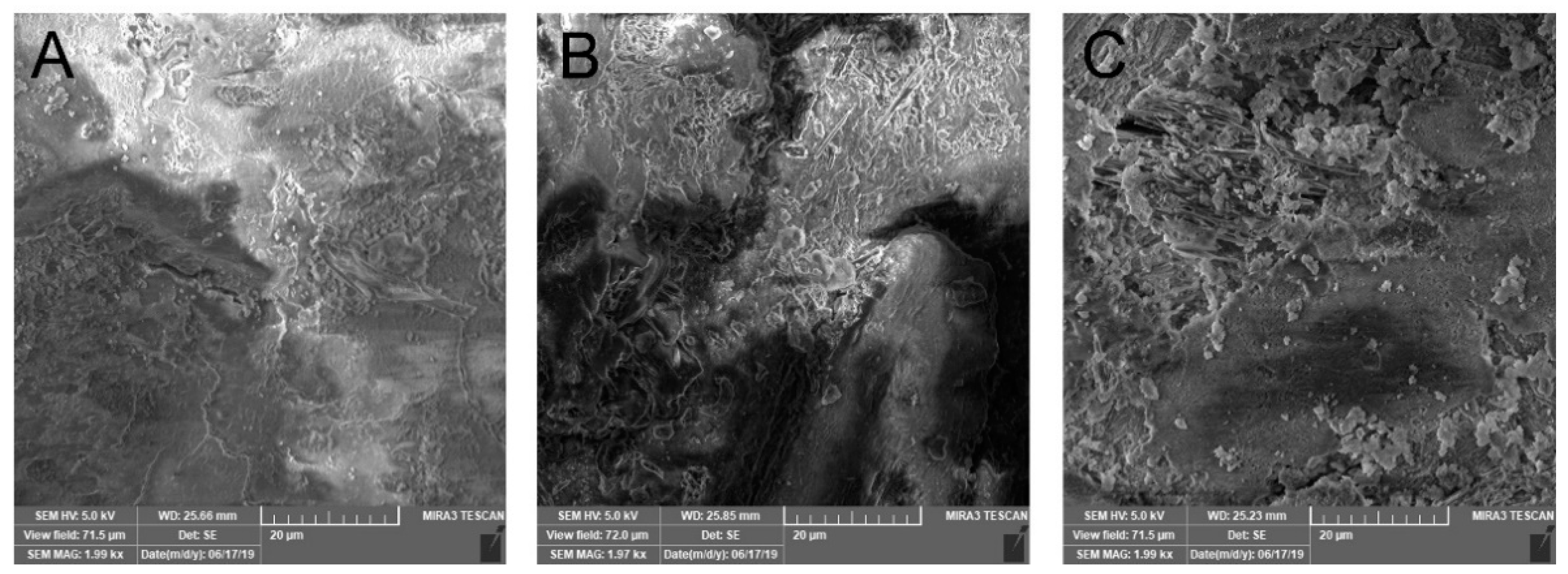 Pharmaceutics 14 00127 g004 Pharmaceutics 14 00127 g004
