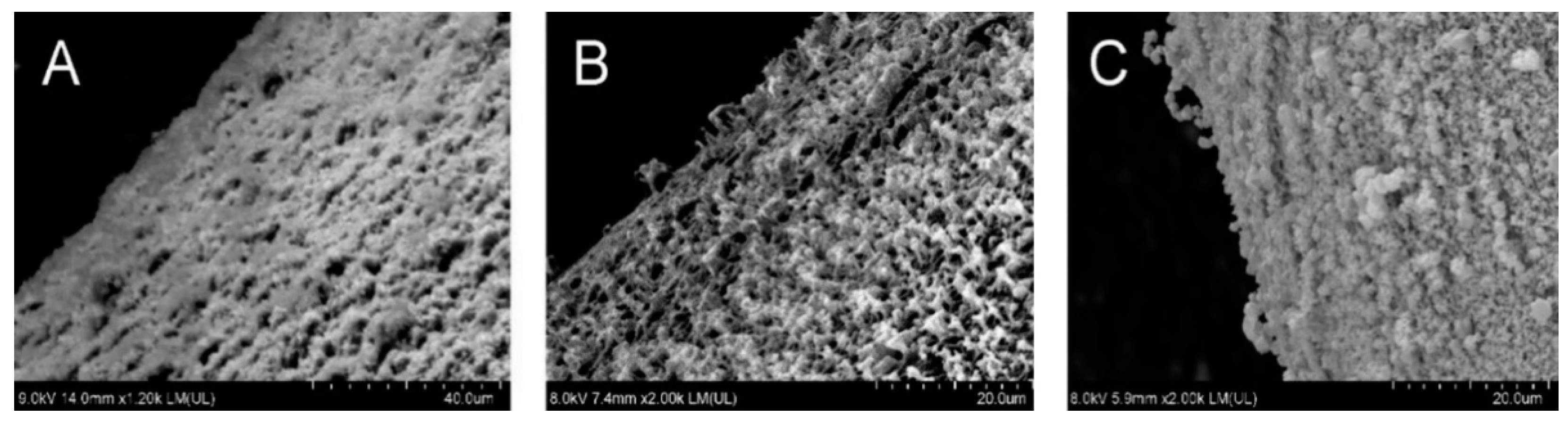 Pharmaceutics 14 00127 g007 Pharmaceutics 14 00127 g007