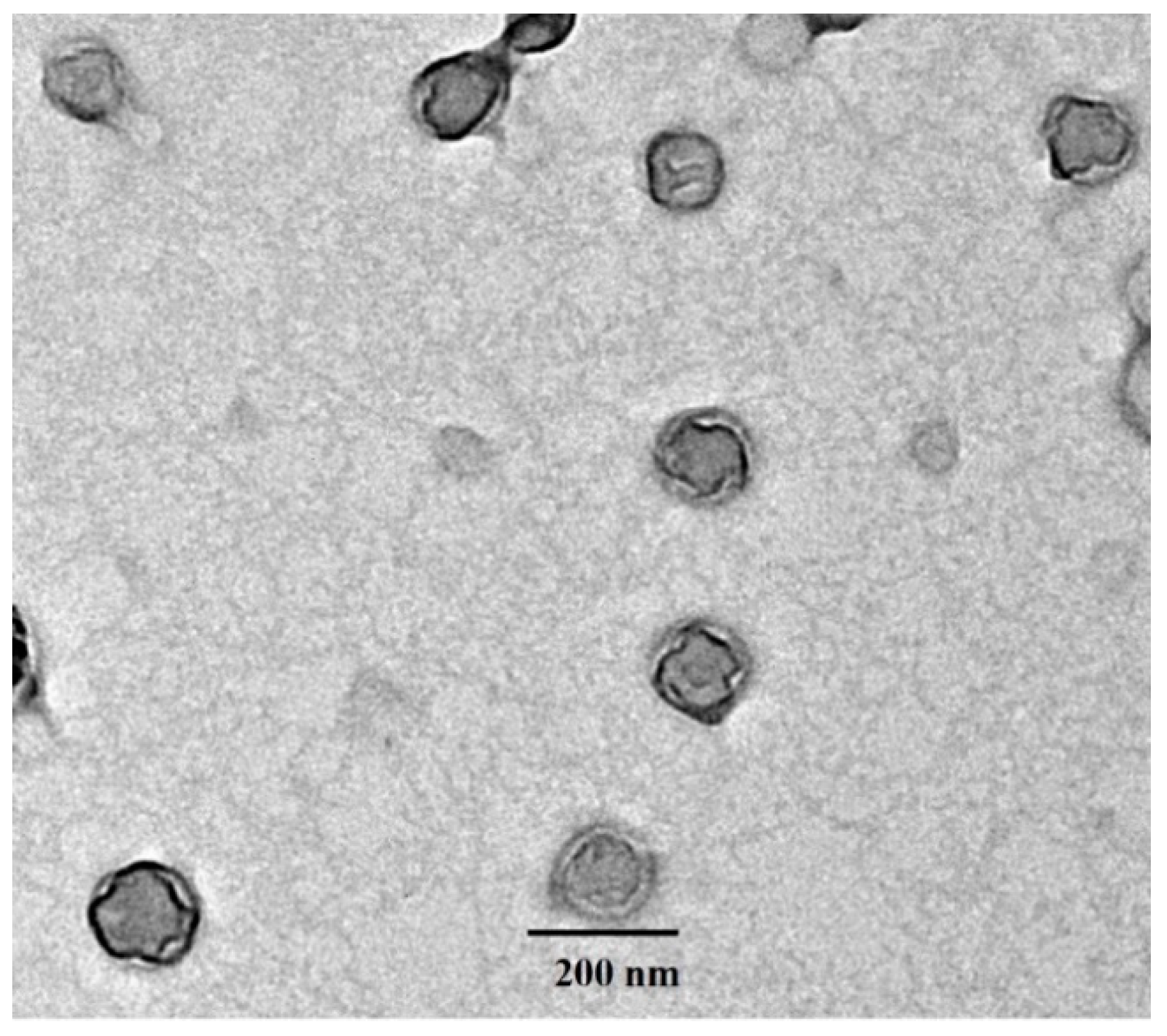 Pharmaceutics 14 00129 g001