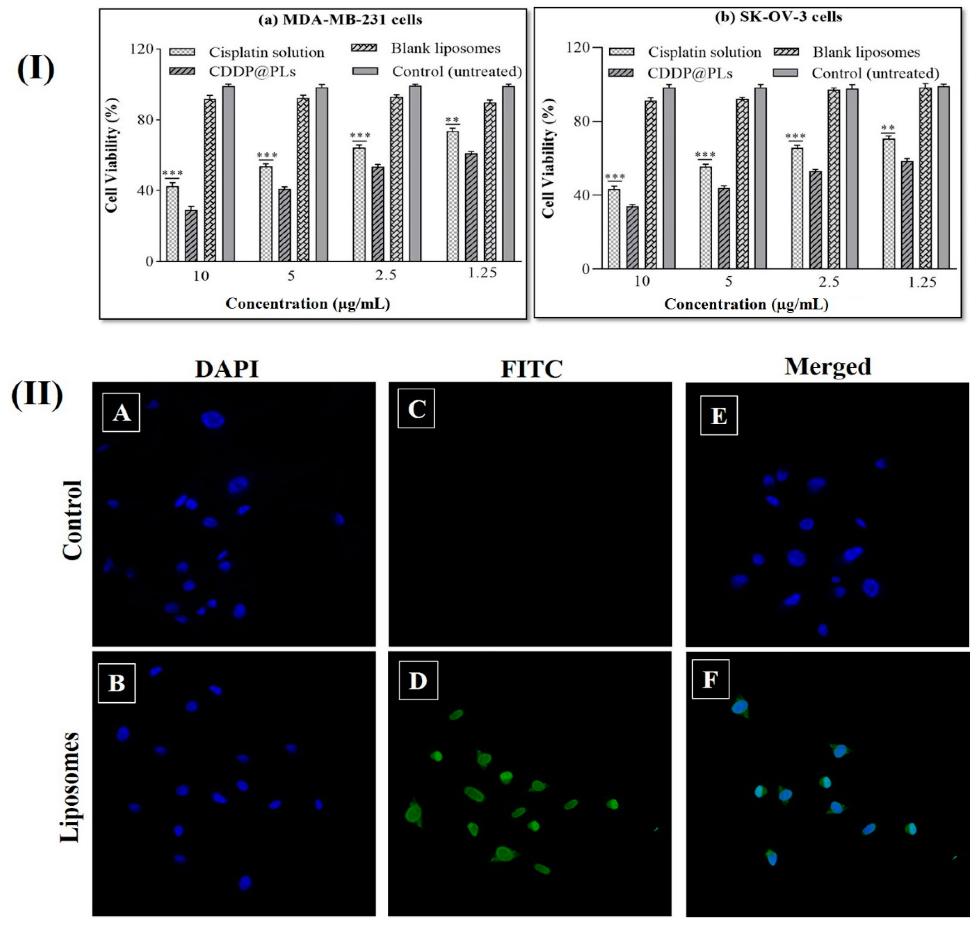 Pharmaceutics 14 00129 g005