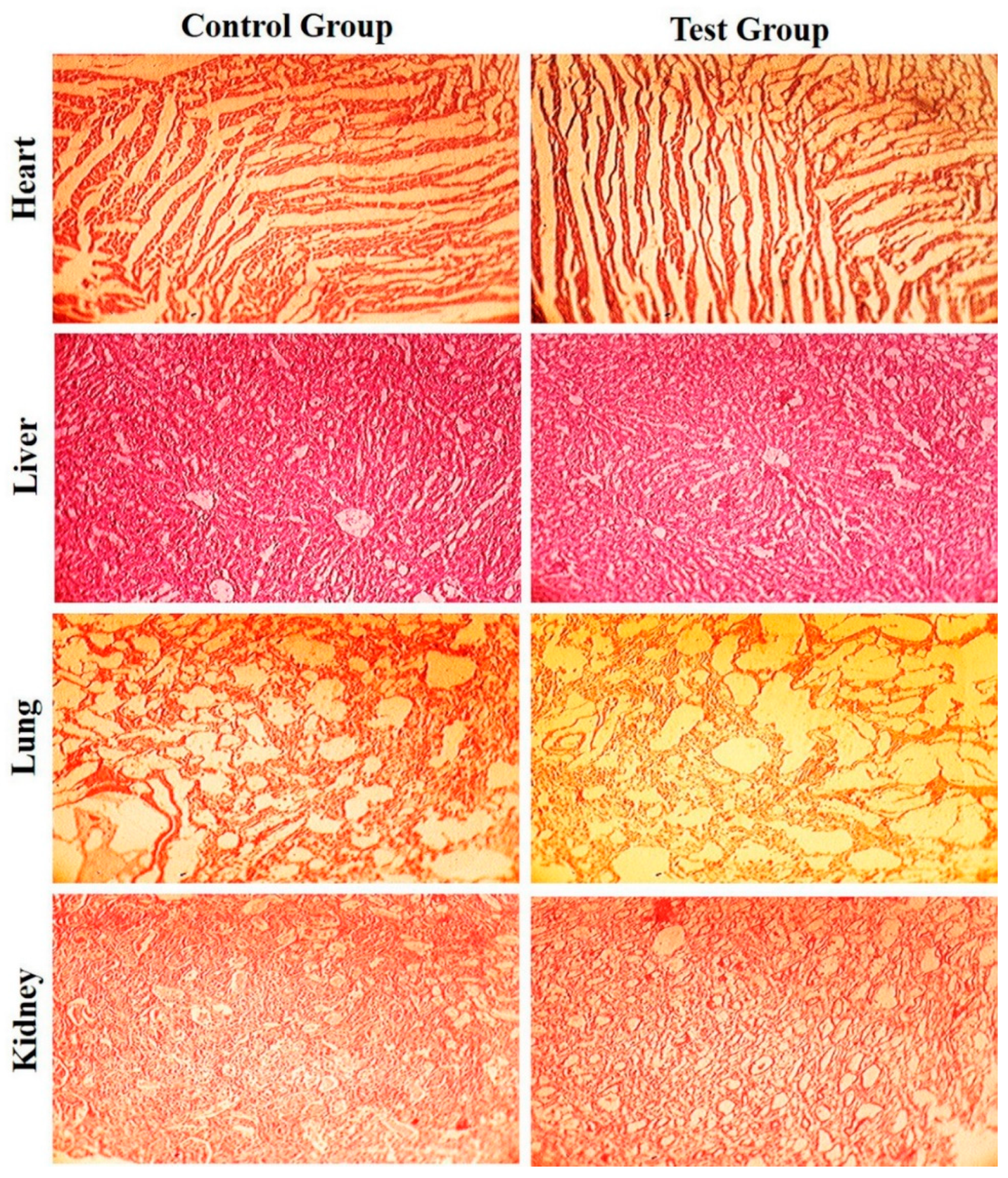 Pharmaceutics 14 00129 g006