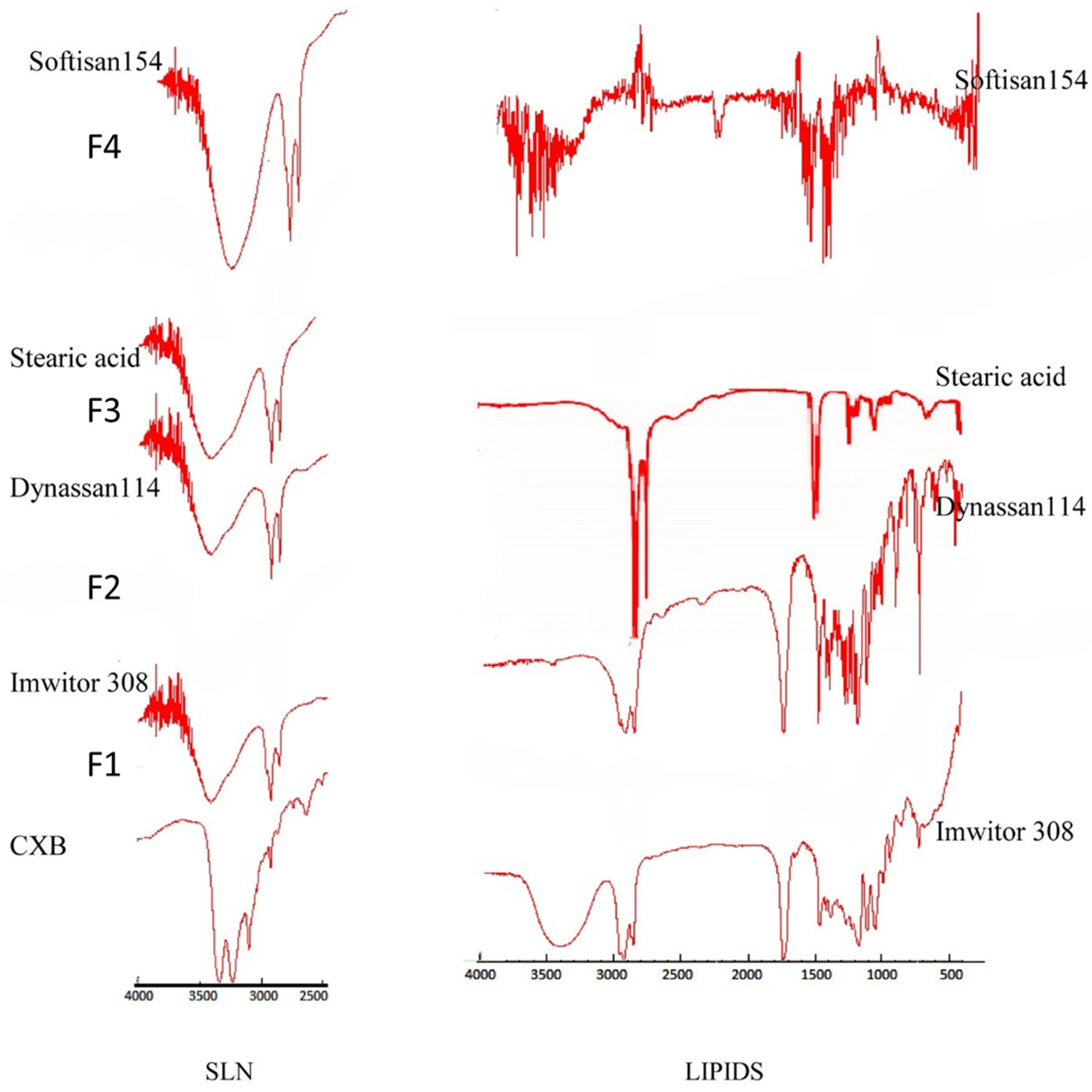 Pharmaceutics 14 00131 g003