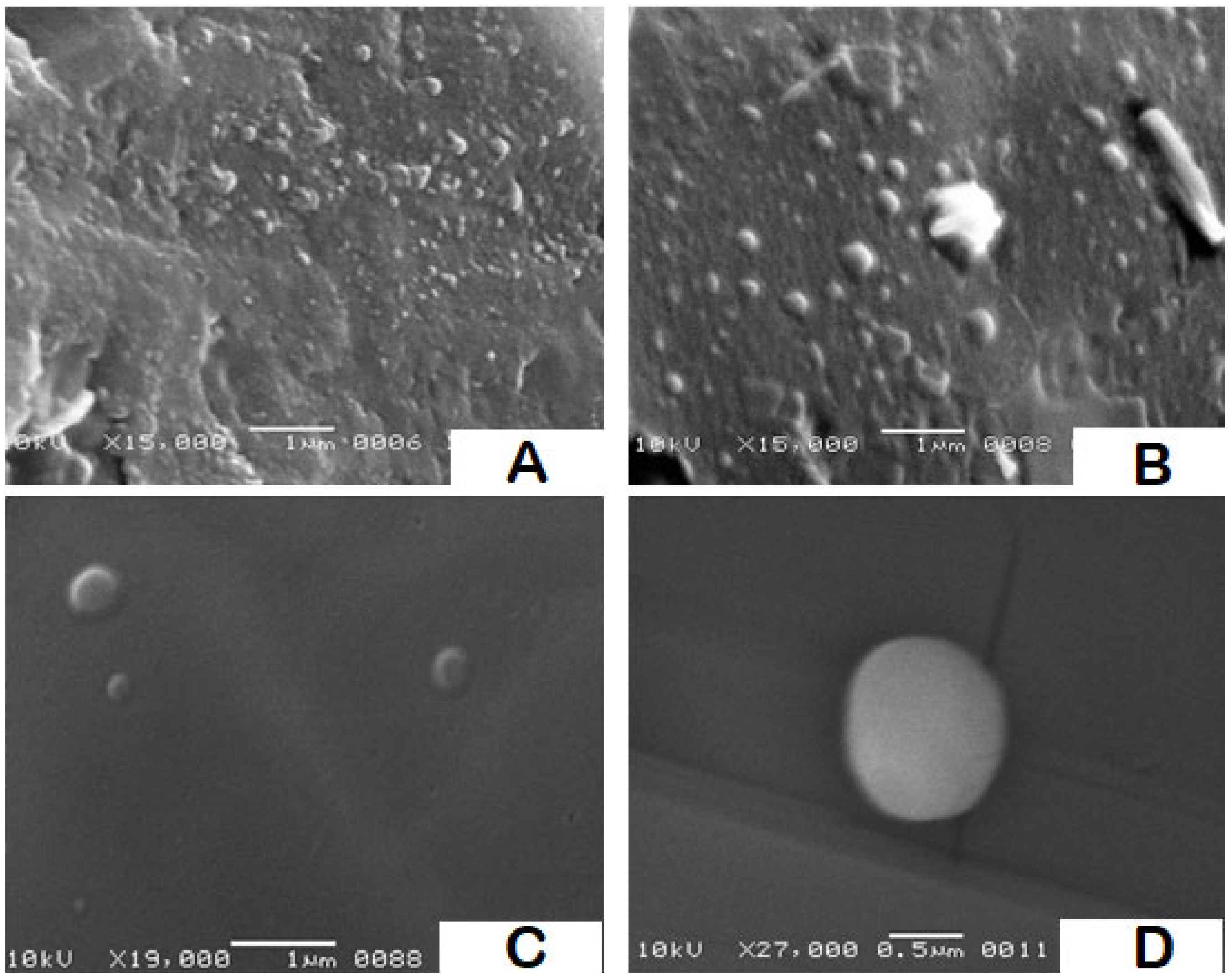 Pharmaceutics 14 00131 g004