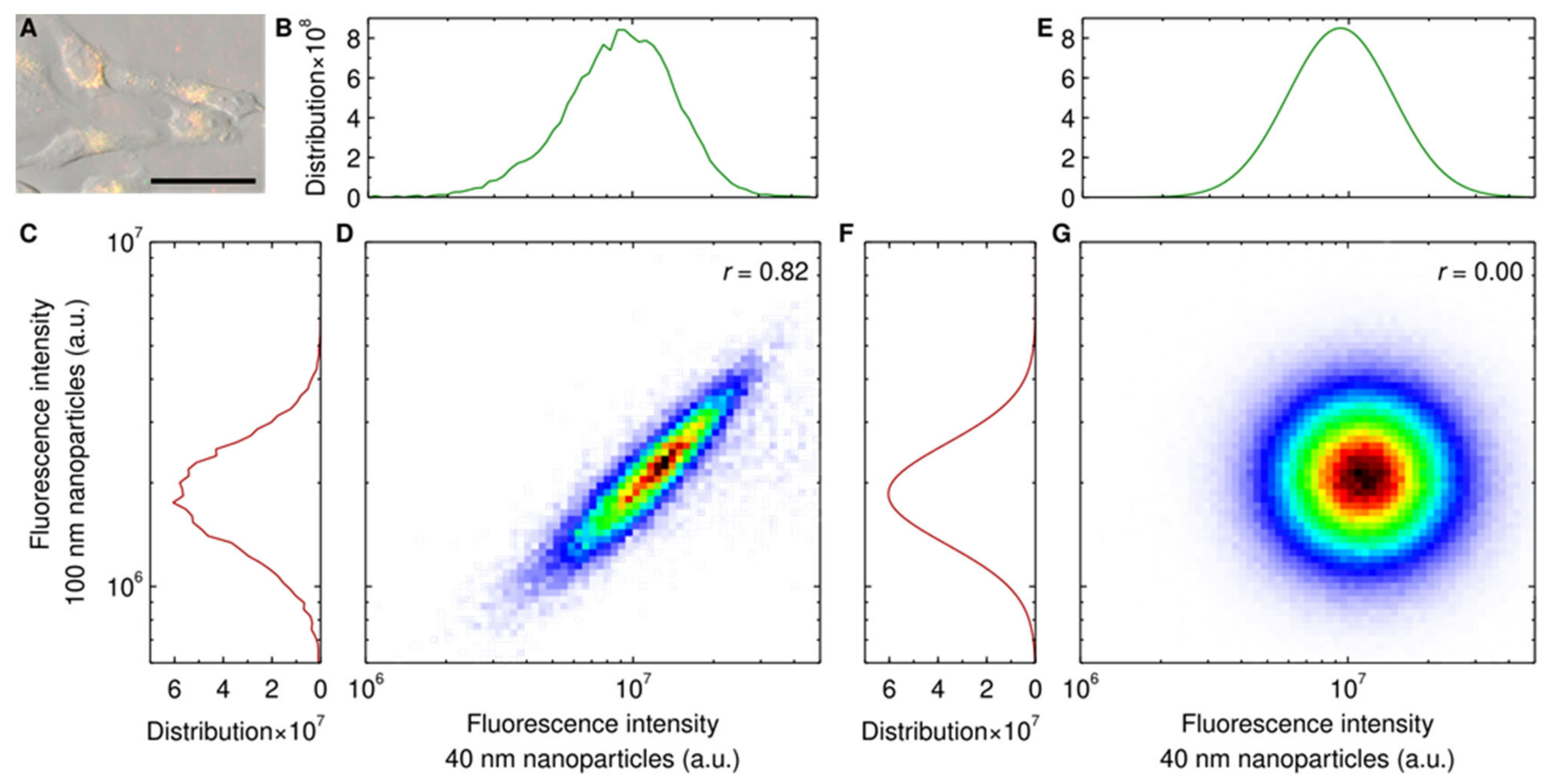 Pharmaceutics 14 00136 g003