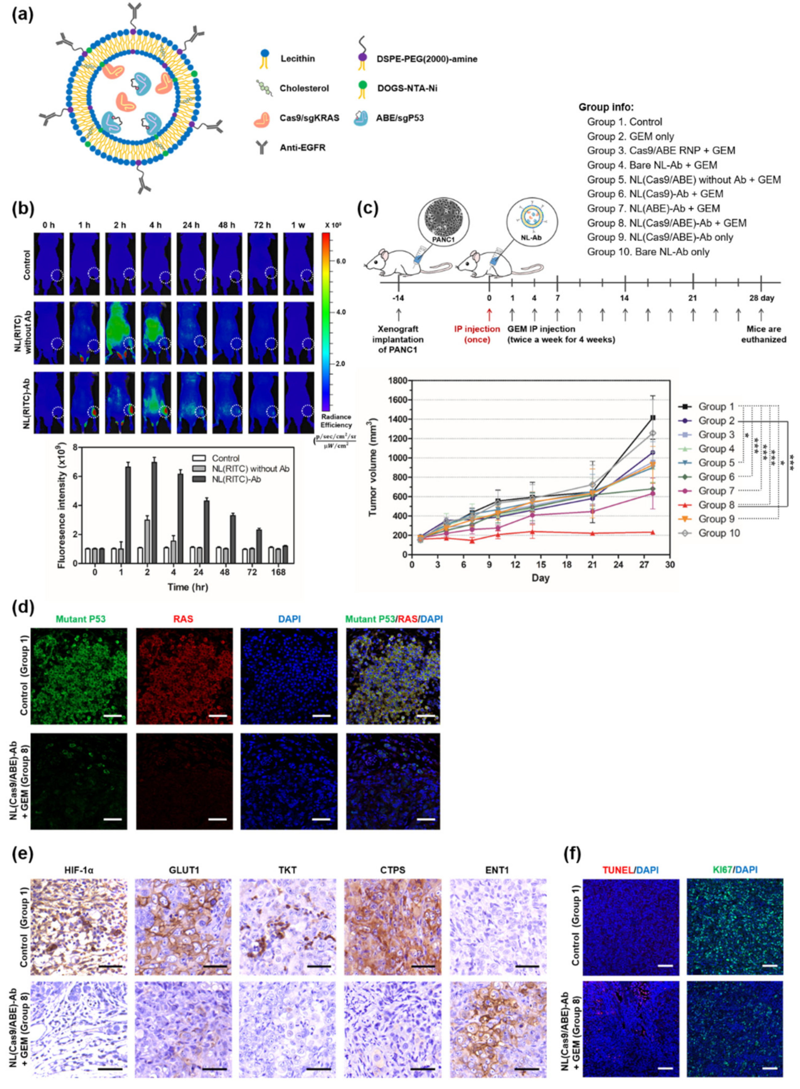Pharmaceutics 14 00137 g005 Pharmaceutics 14 00137 g005