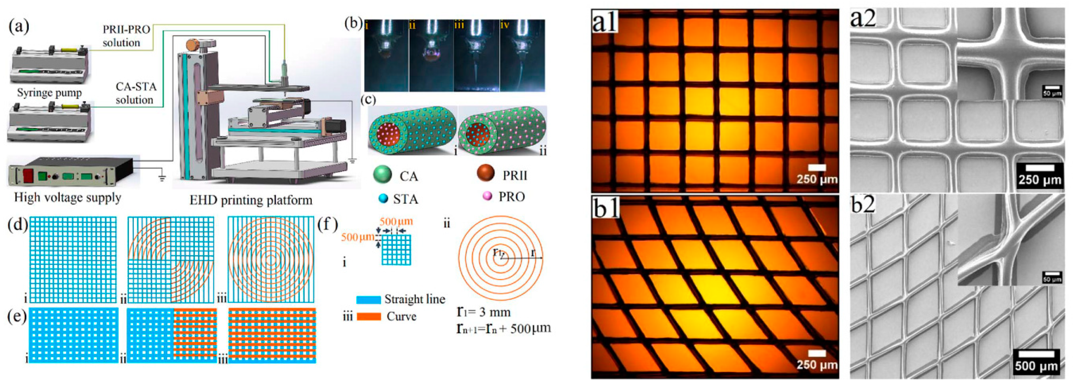 Pharmaceutics 14 00145 g008 Pharmaceutics 14 00145 g008