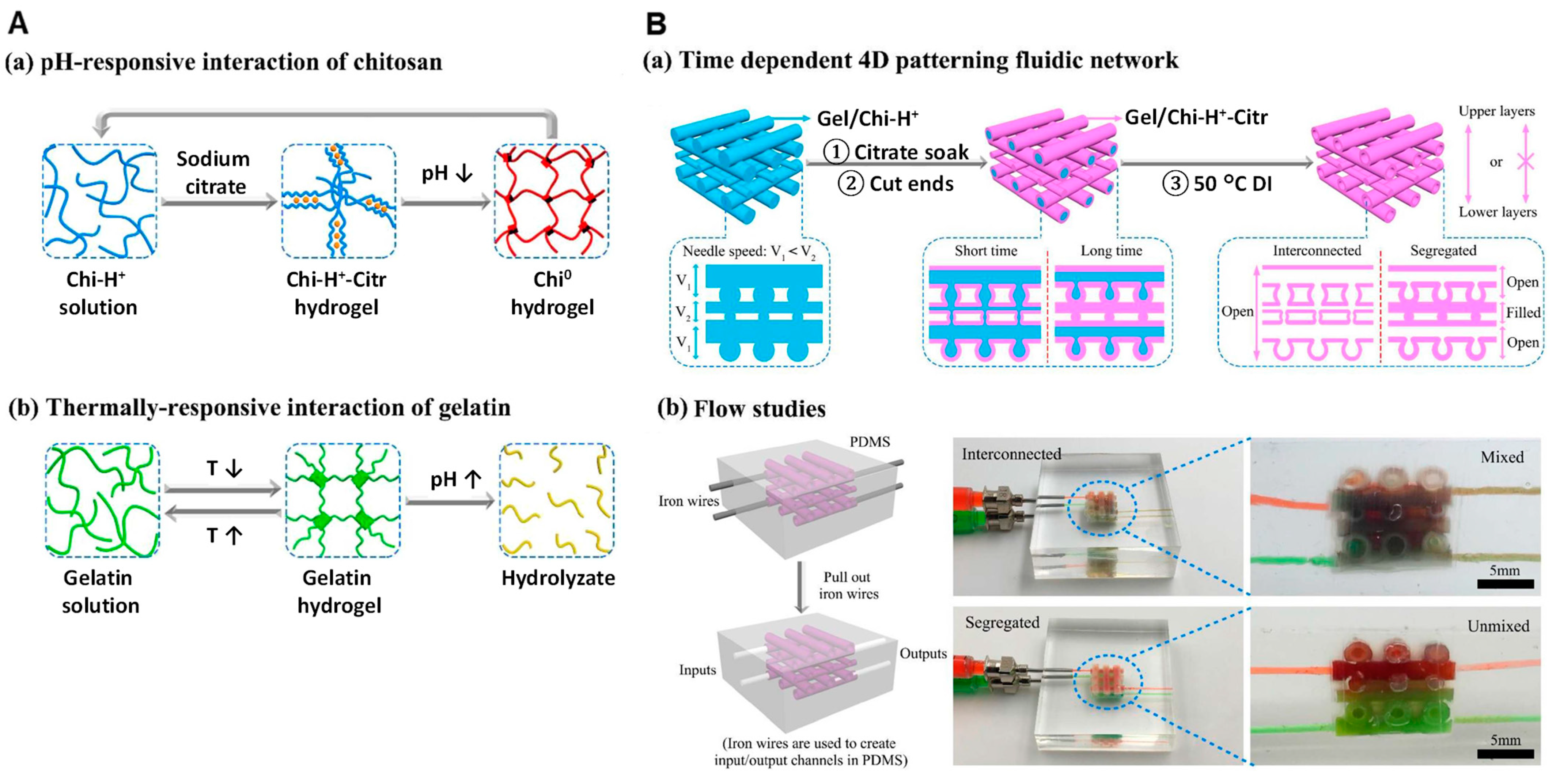 Pharmaceutics 14 00145 g012 Pharmaceutics 14 00145 g012