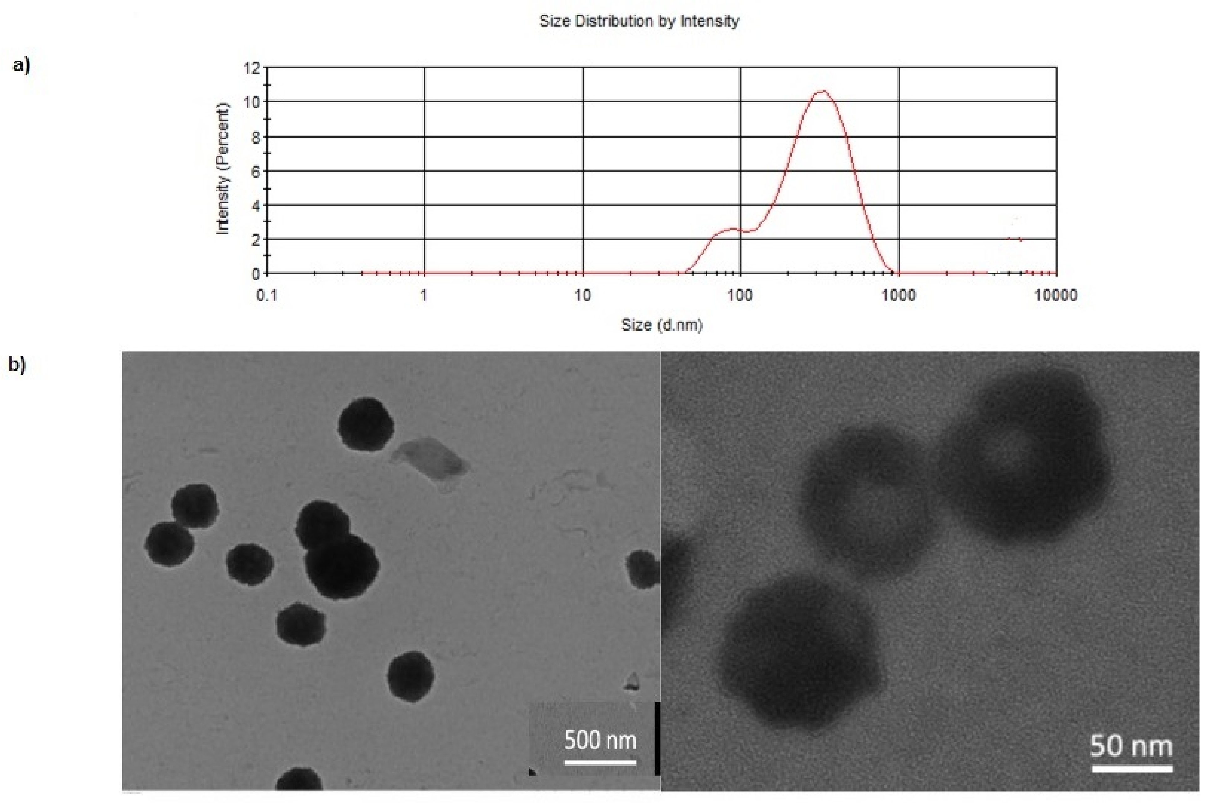 Pharmaceutics 14 00147 g001