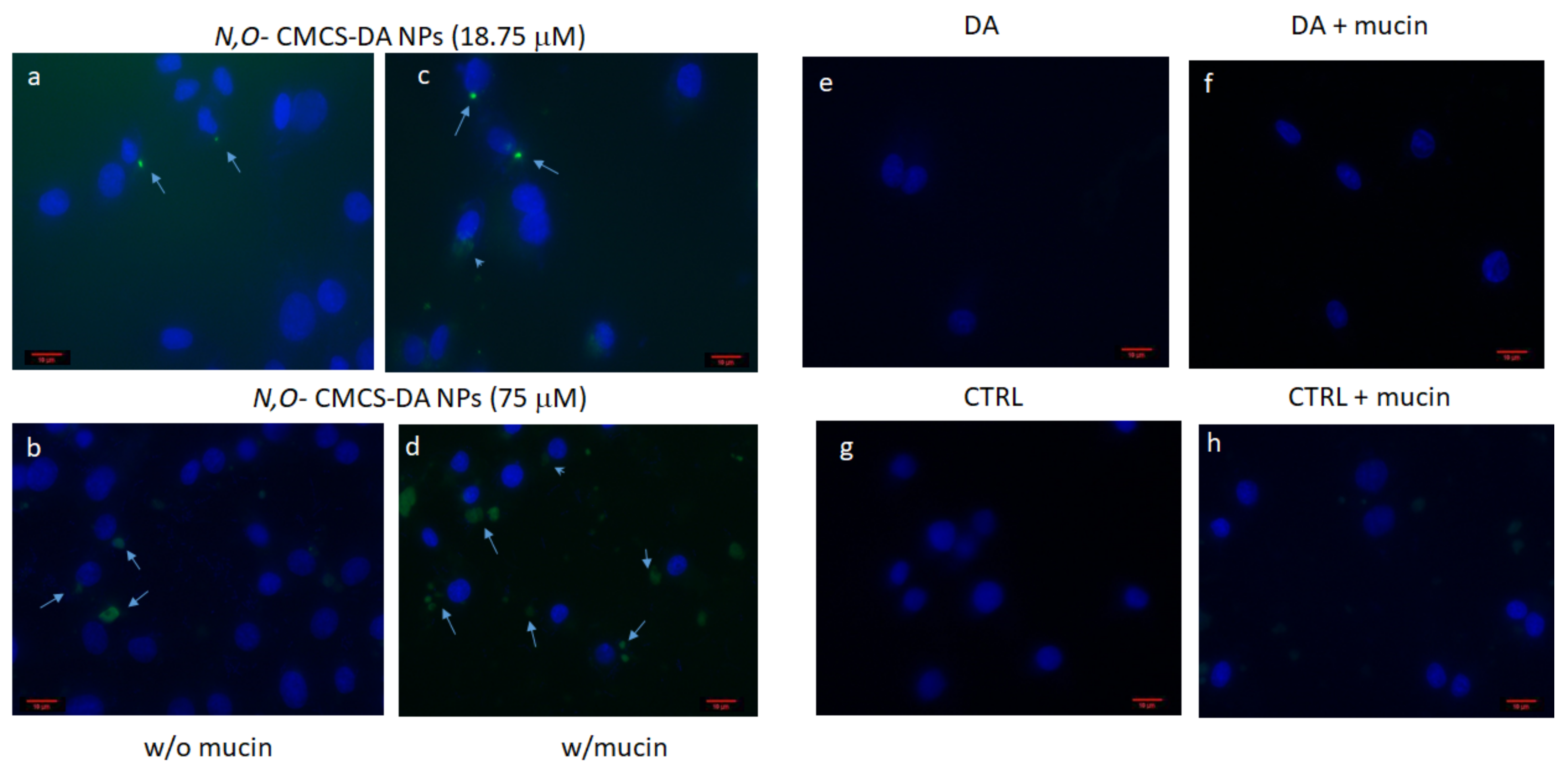 Pharmaceutics 14 00147 g008