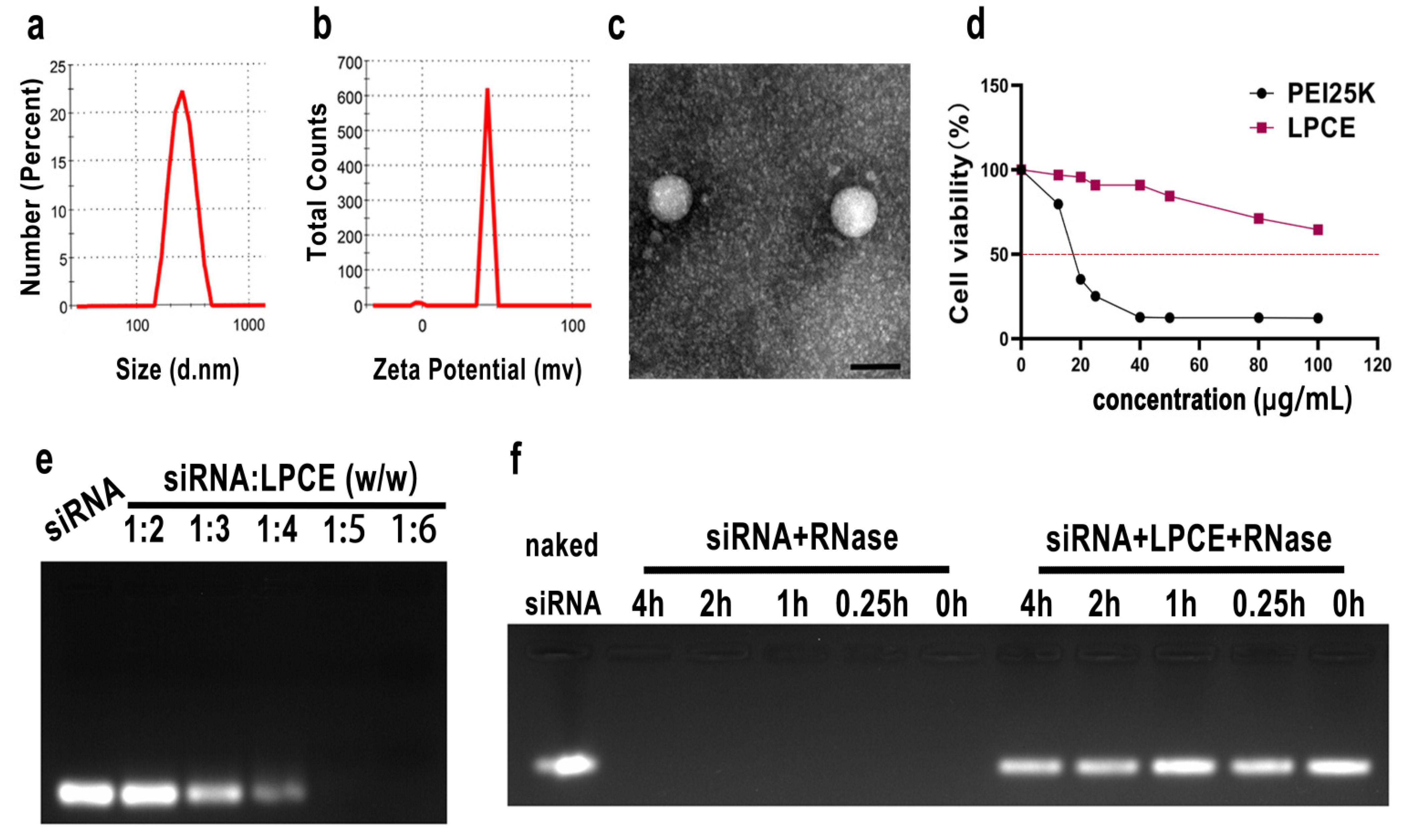 Pharmaceutics 14 00162 g001