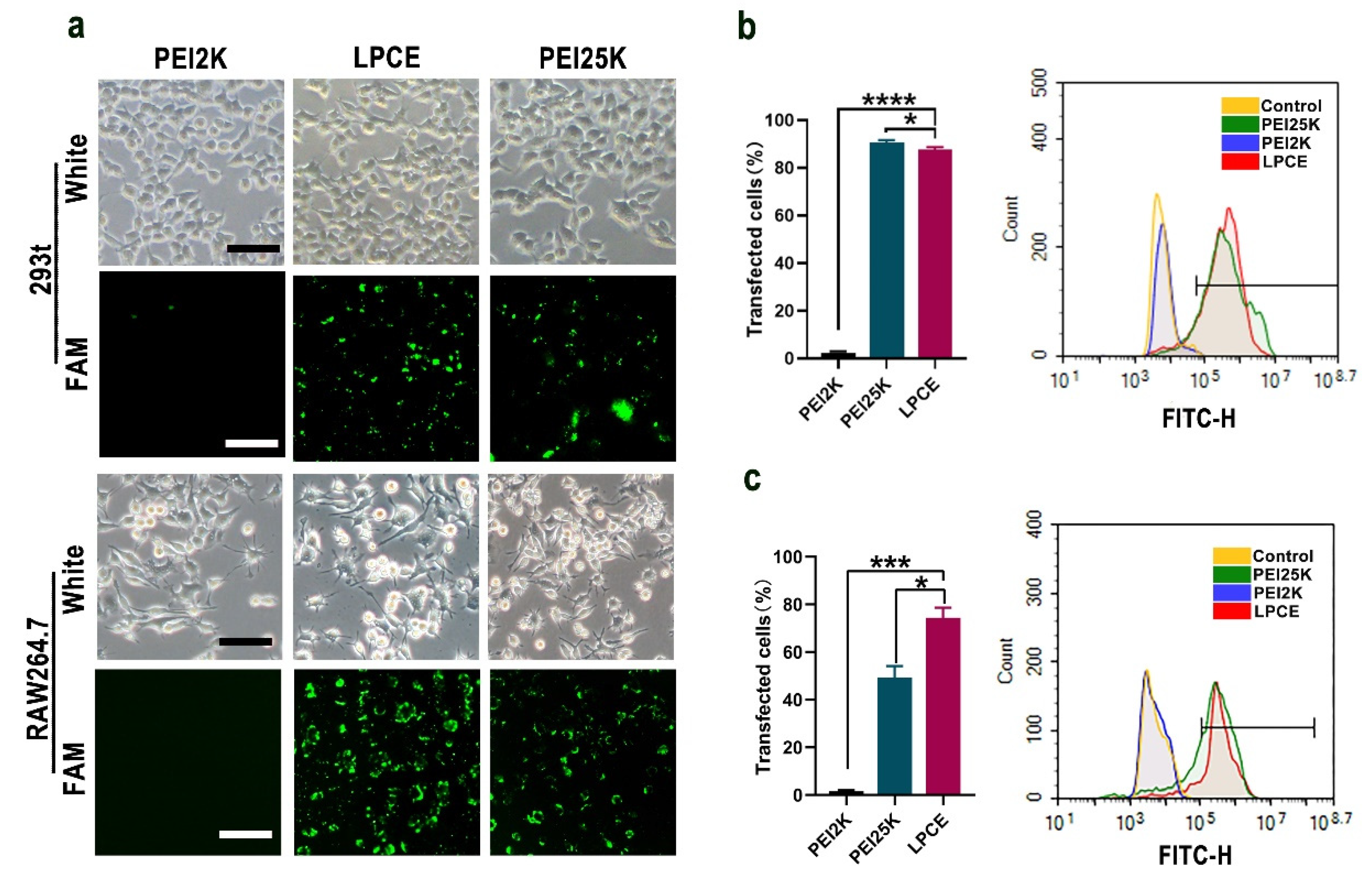 Pharmaceutics 14 00162 g002