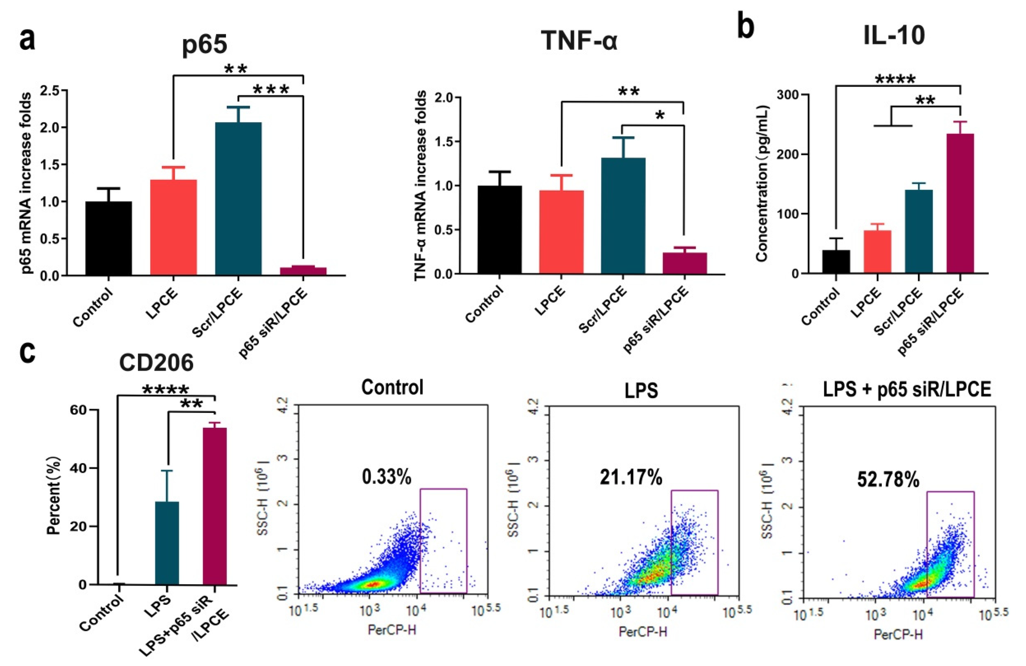 Pharmaceutics 14 00162 g004