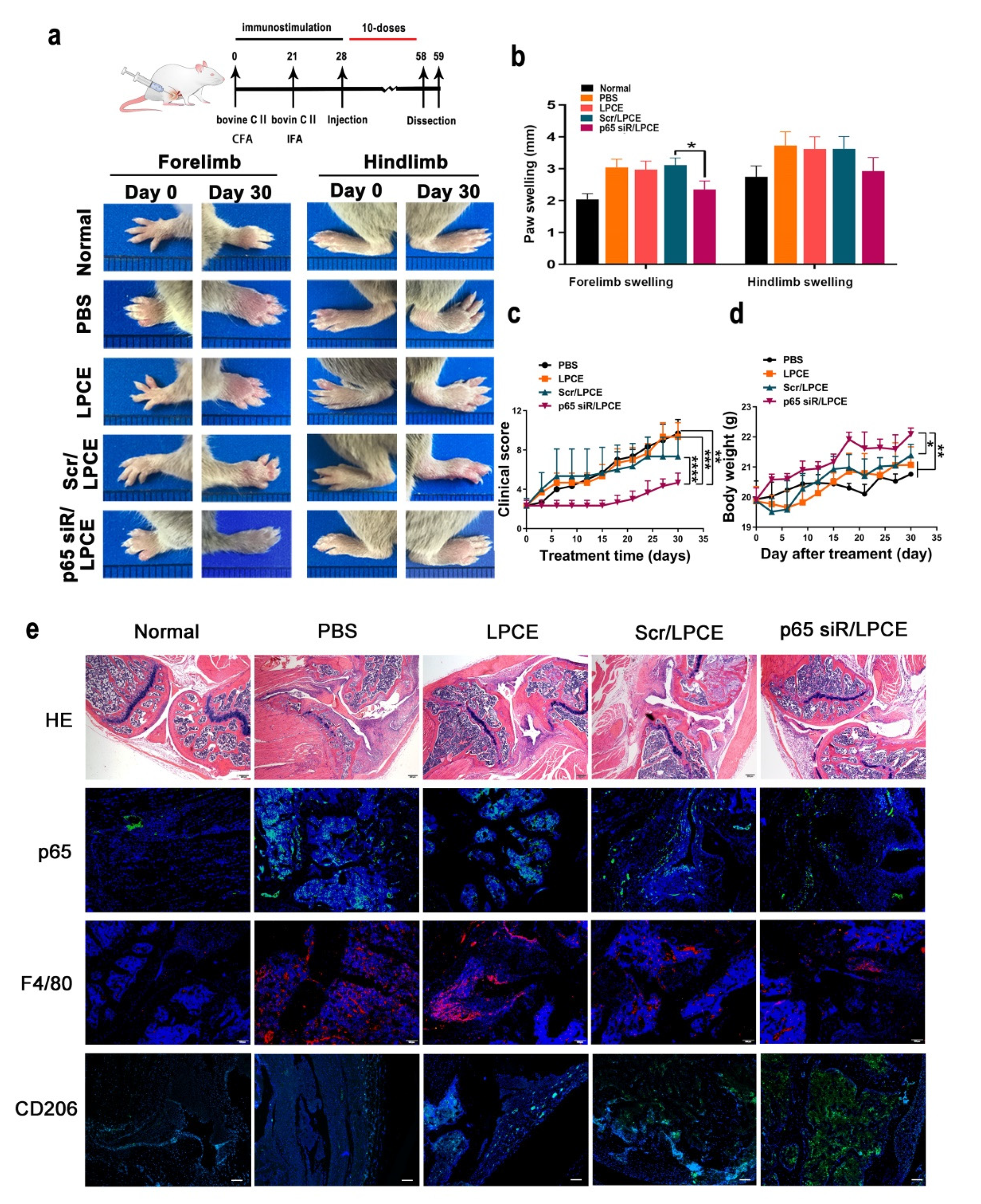 Pharmaceutics 14 00162 g005