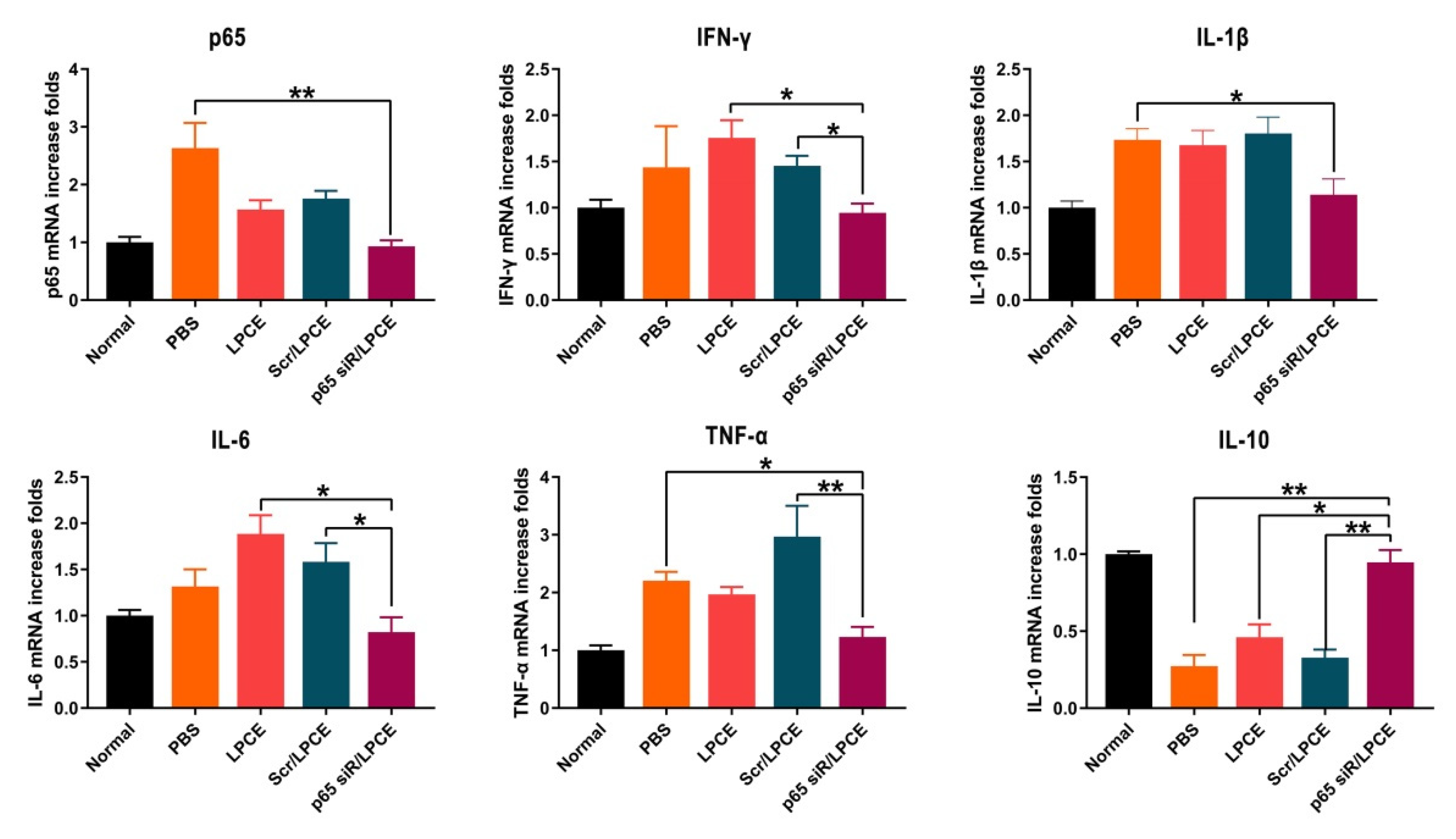 Pharmaceutics 14 00162 g006
