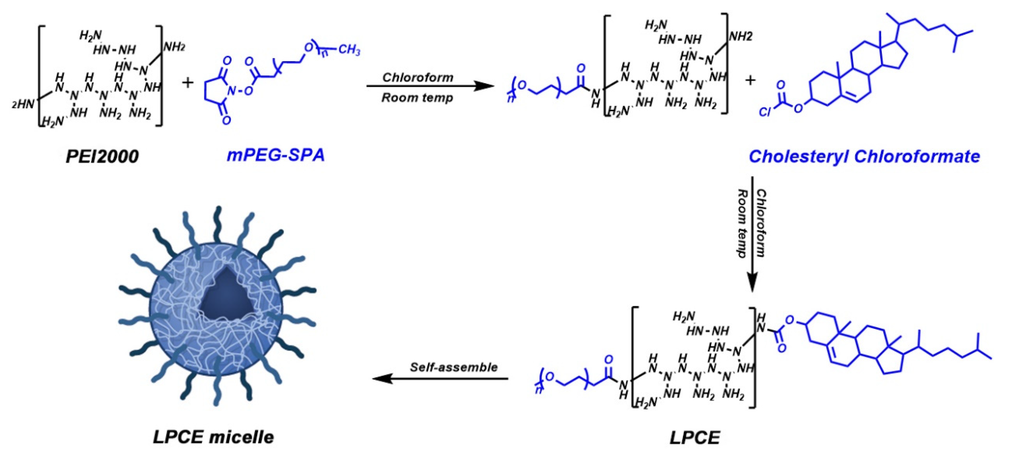 Pharmaceutics 14 00162 sch001