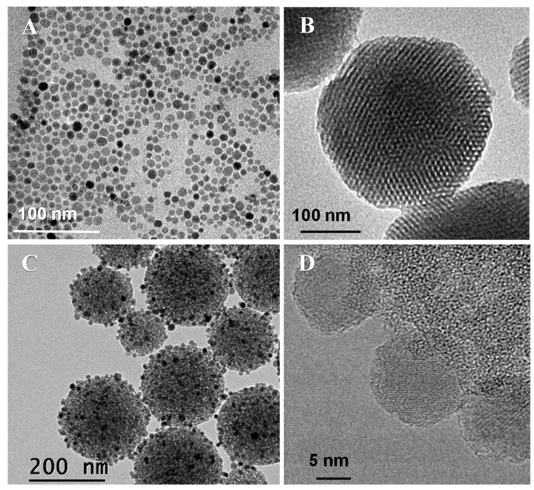 Pharmaceutics 14 00163 g002 Pharmaceutics 14 00163 g002