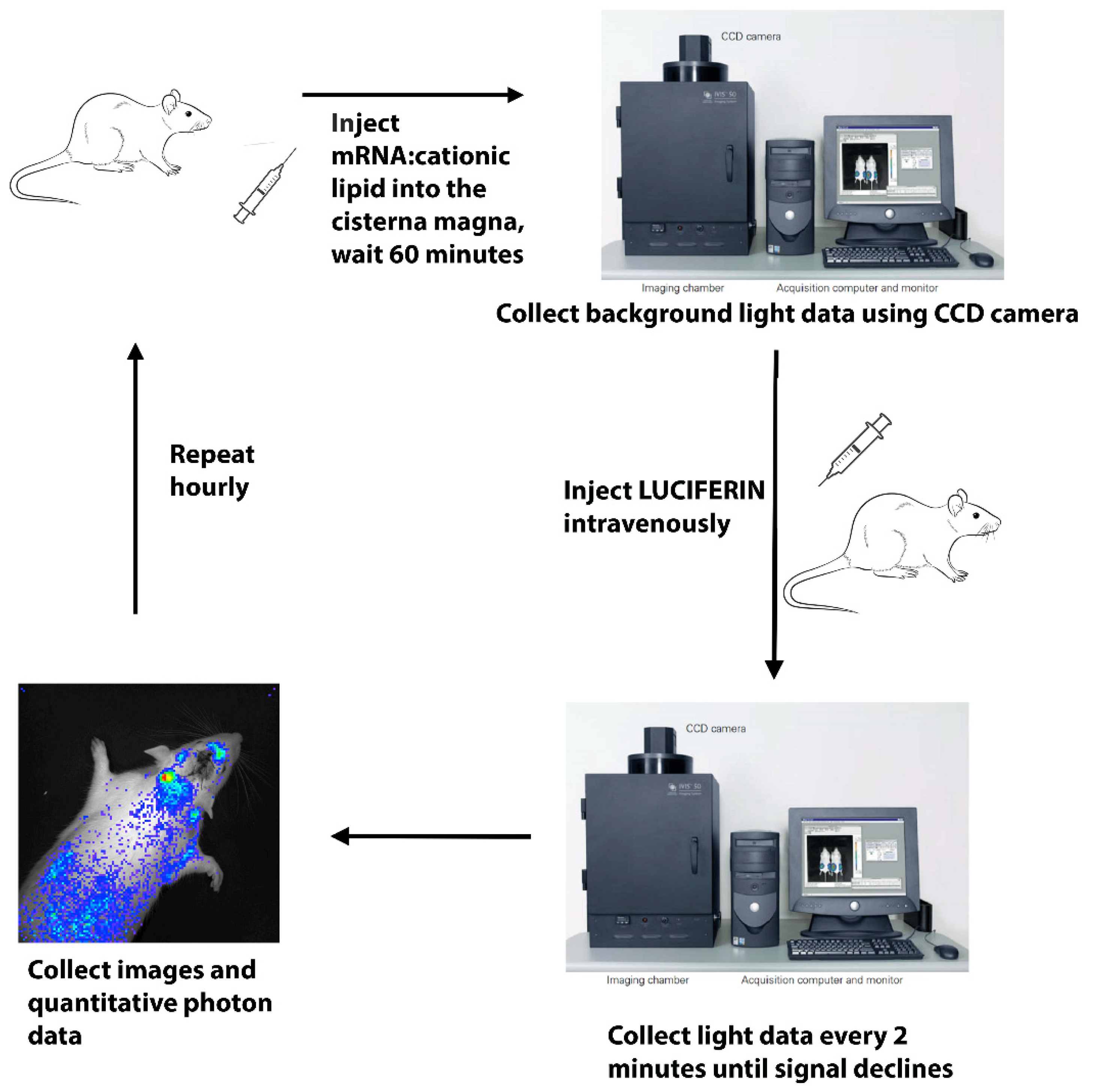 Pharmaceutics 14 00165 g003 Pharmaceutics 14 00165 g003