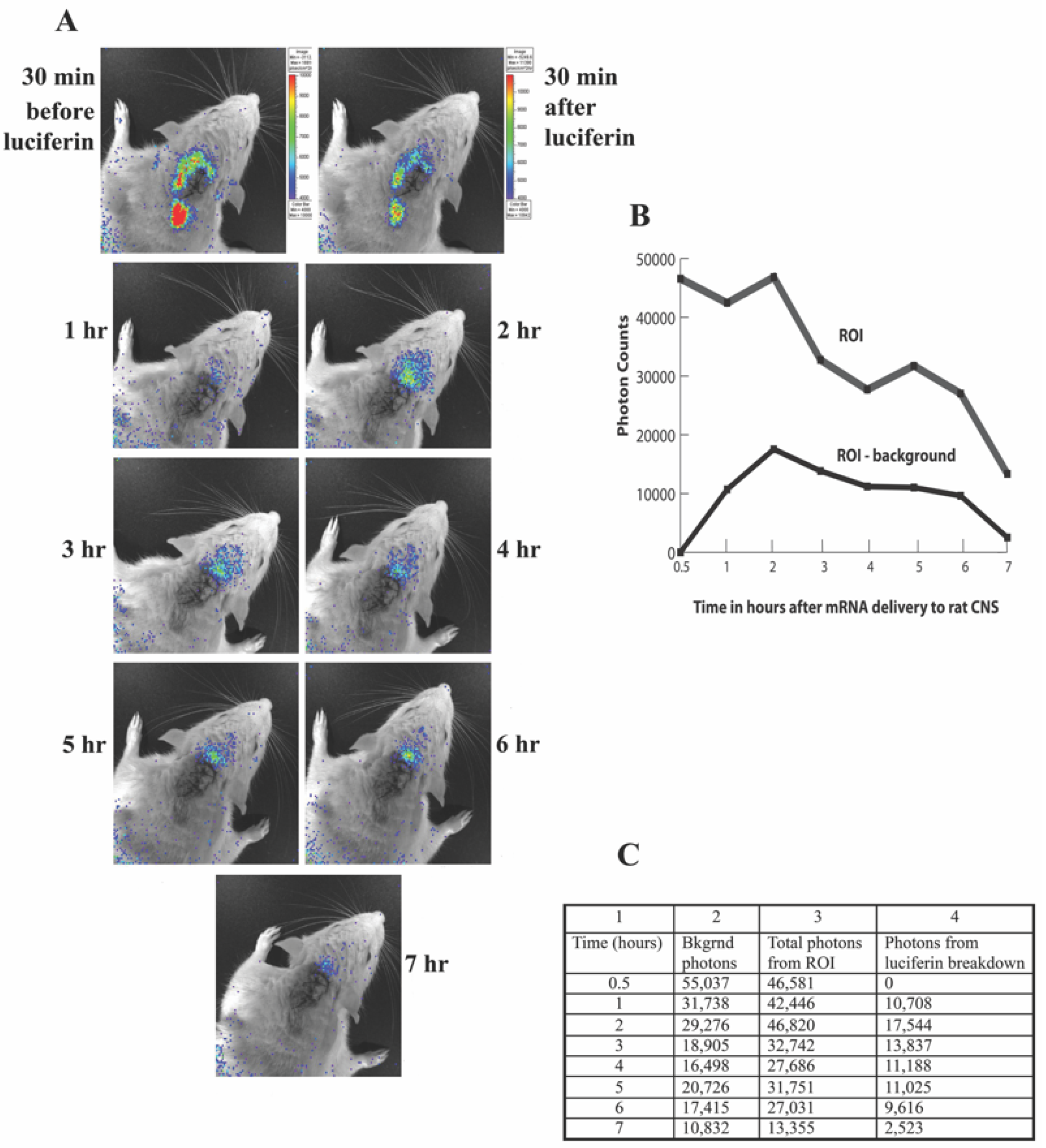Pharmaceutics 14 00165 g005 Pharmaceutics 14 00165 g005