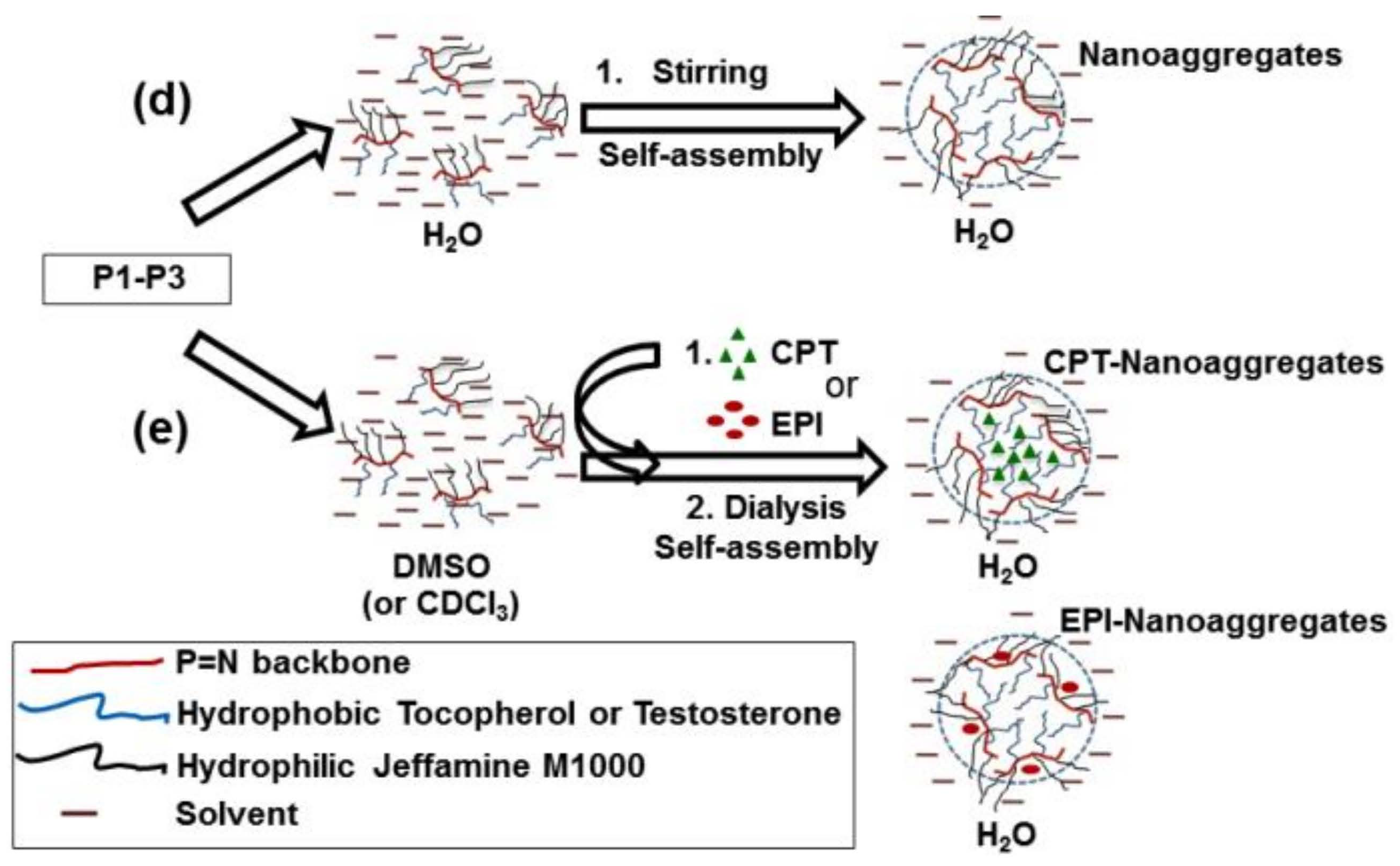 Pharmaceutics 14 00169 g001b