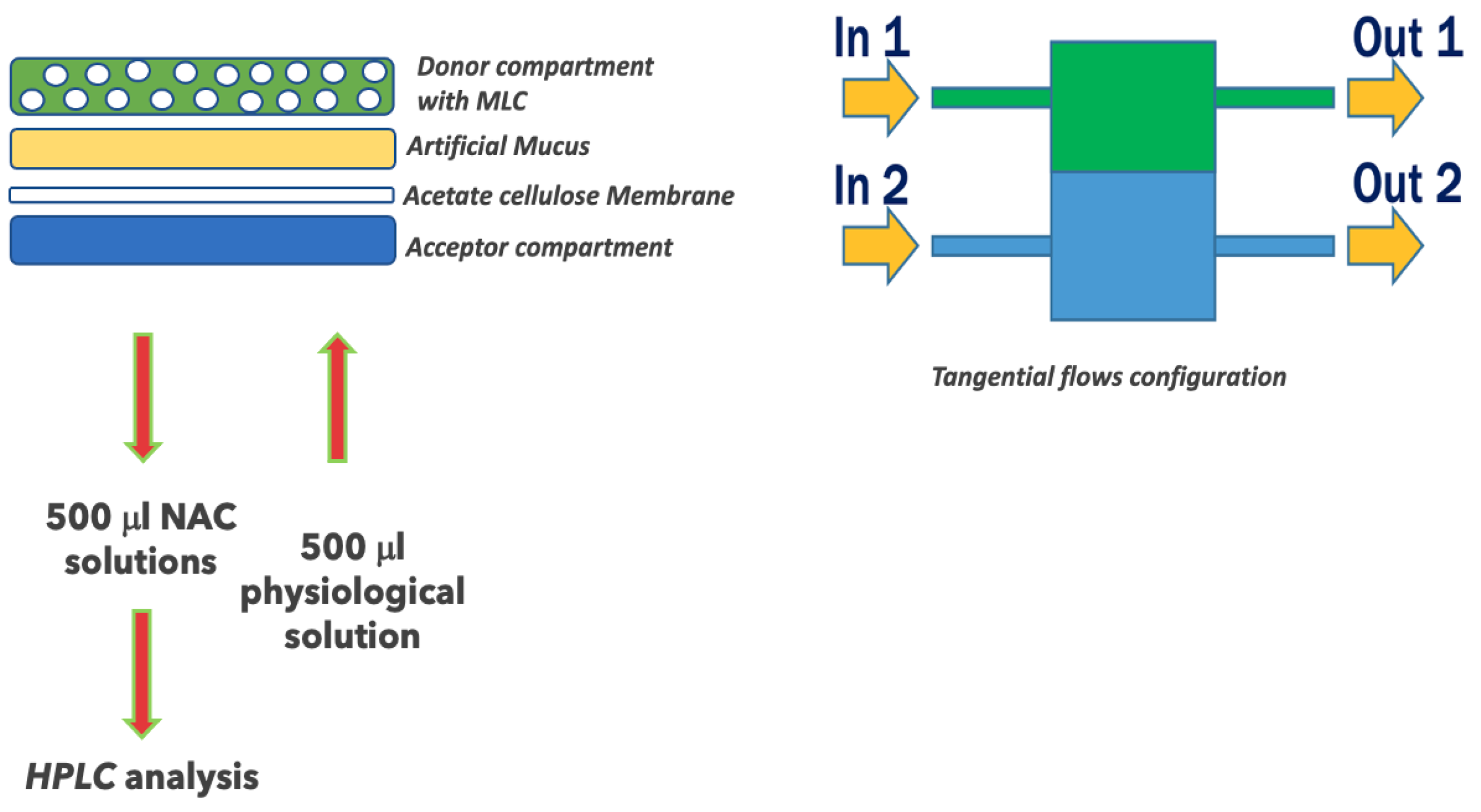 Pharmaceutics 14 00170 g002