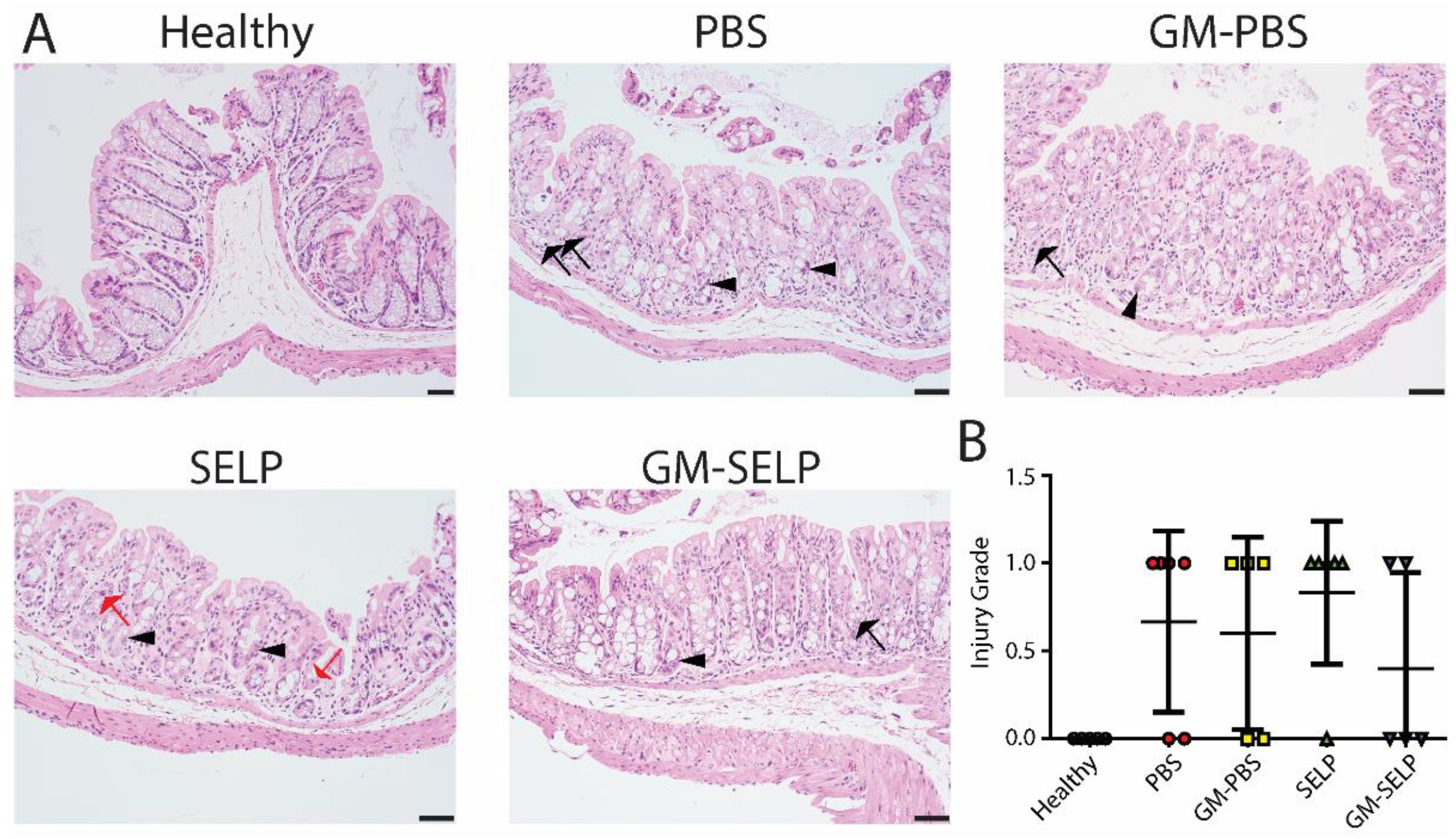 Pharmaceutics 14 00175 g002