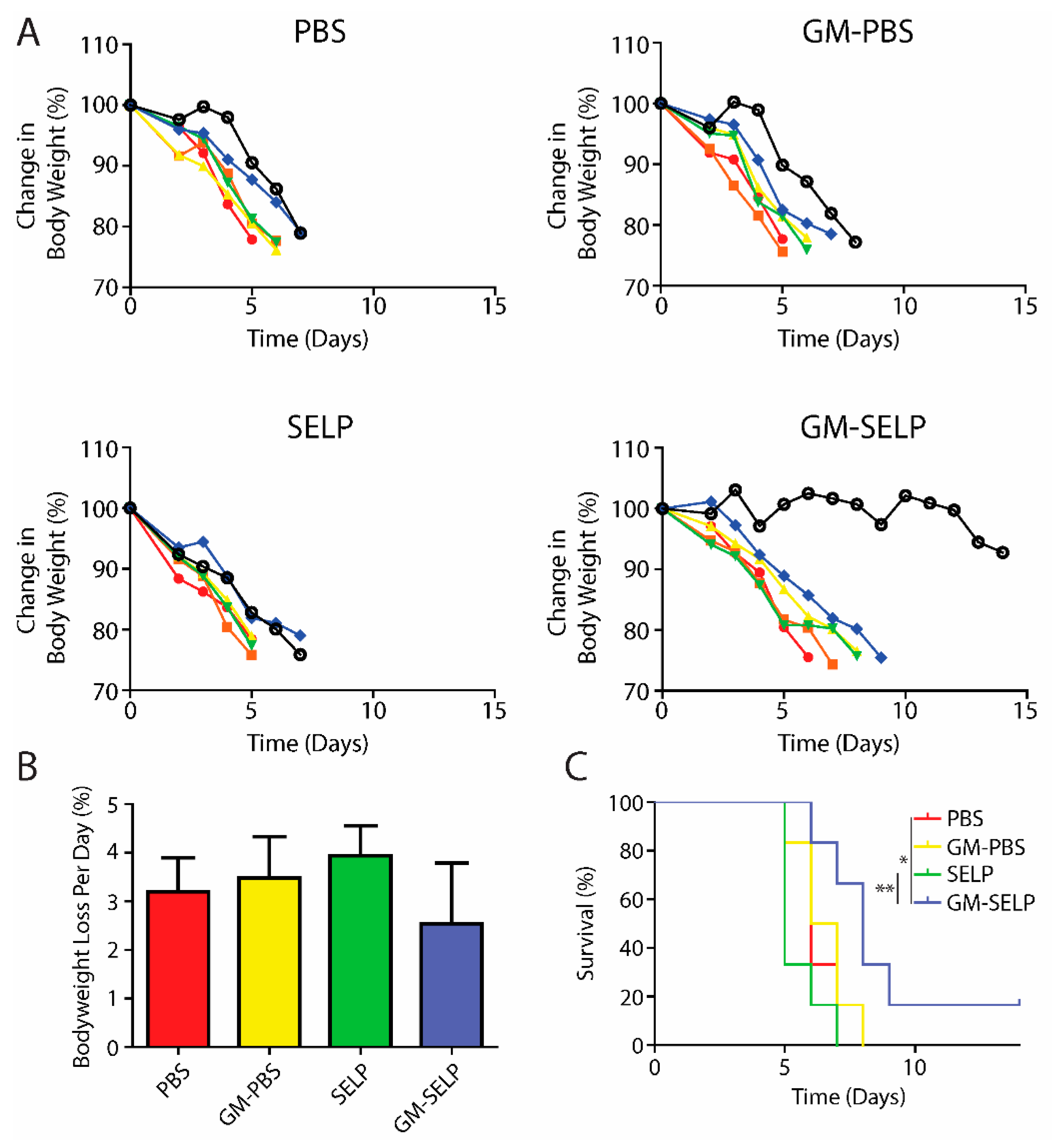 Pharmaceutics 14 00175 g003