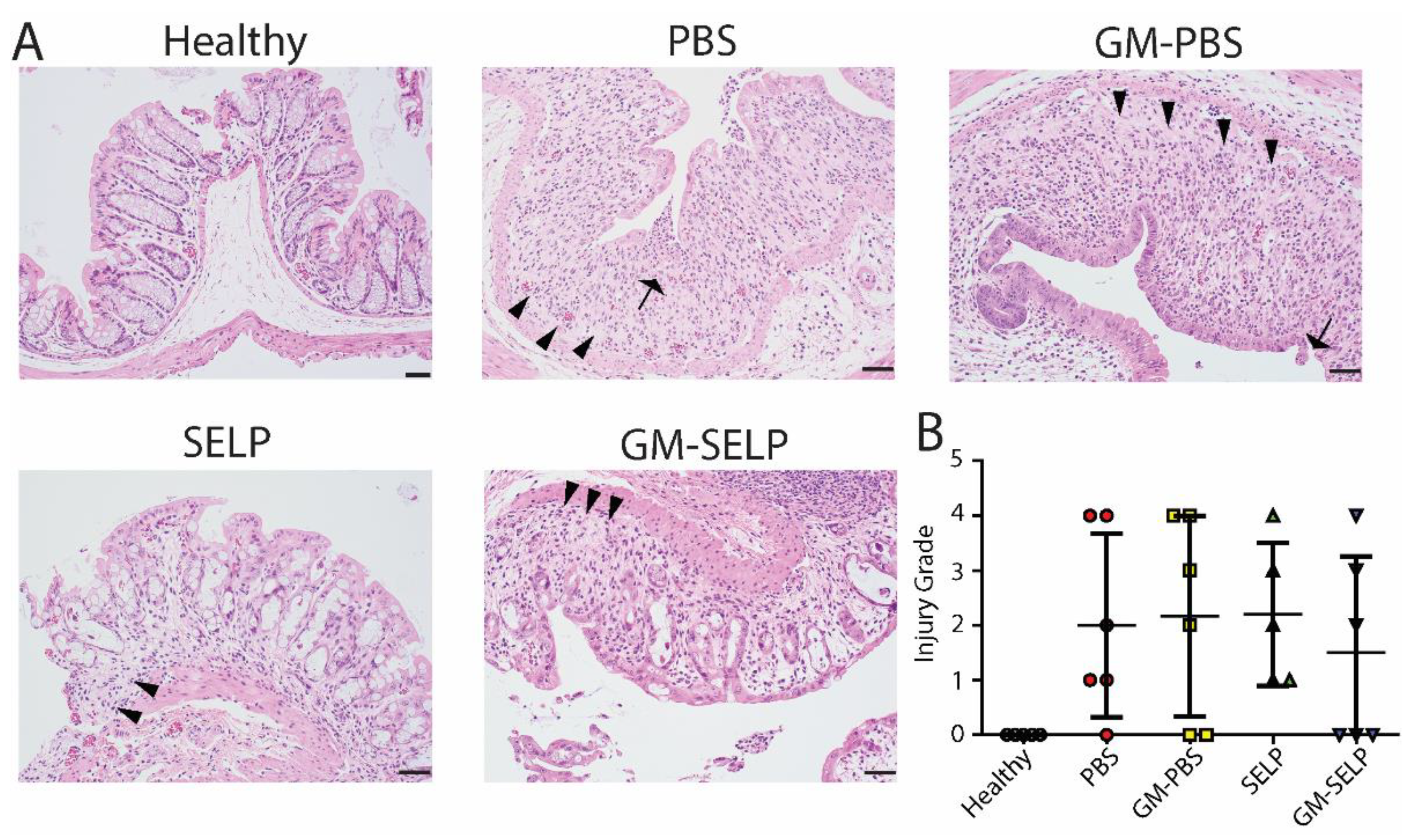 Pharmaceutics 14 00175 g005
