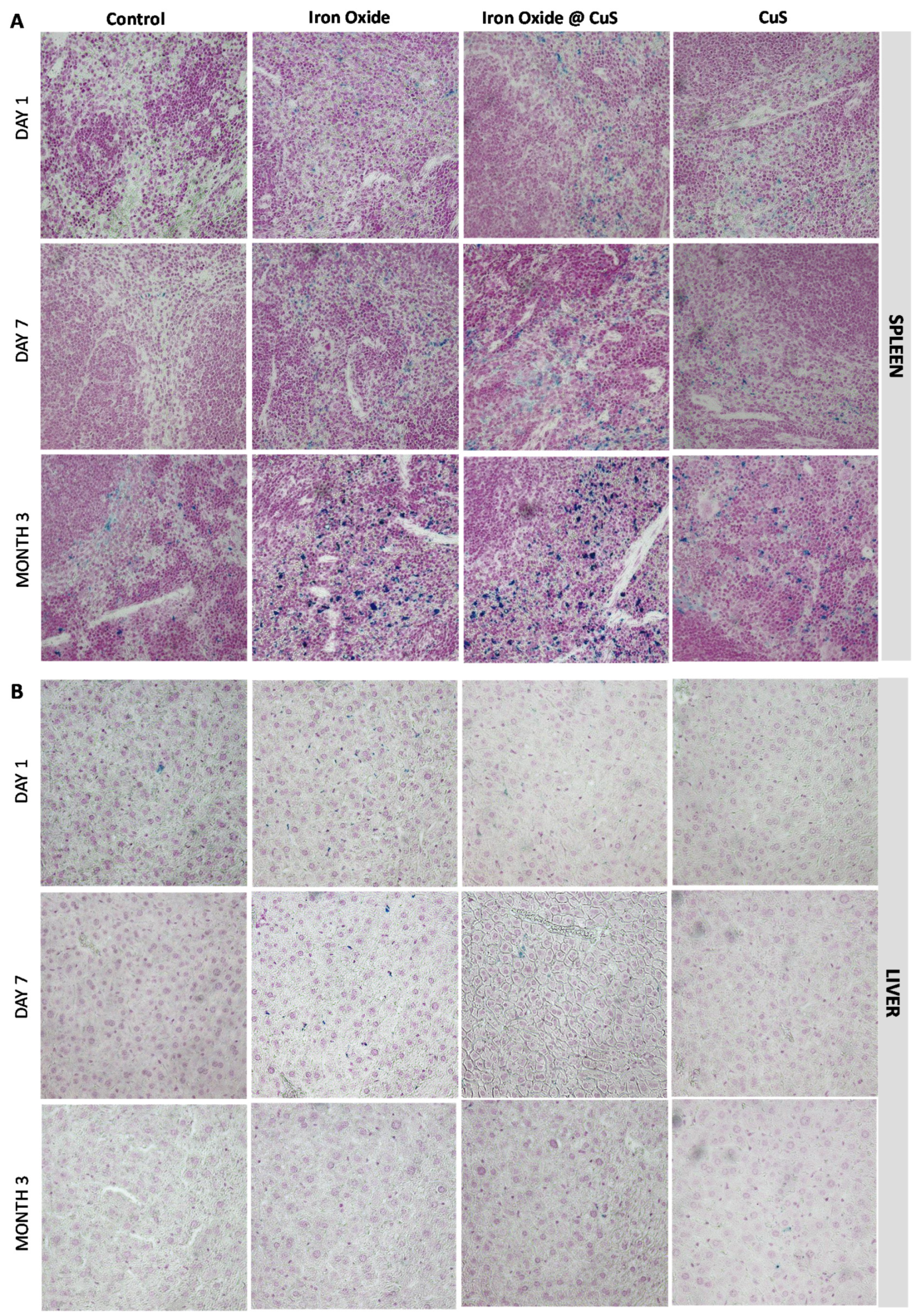 Pharmaceutics 14 00179 g007