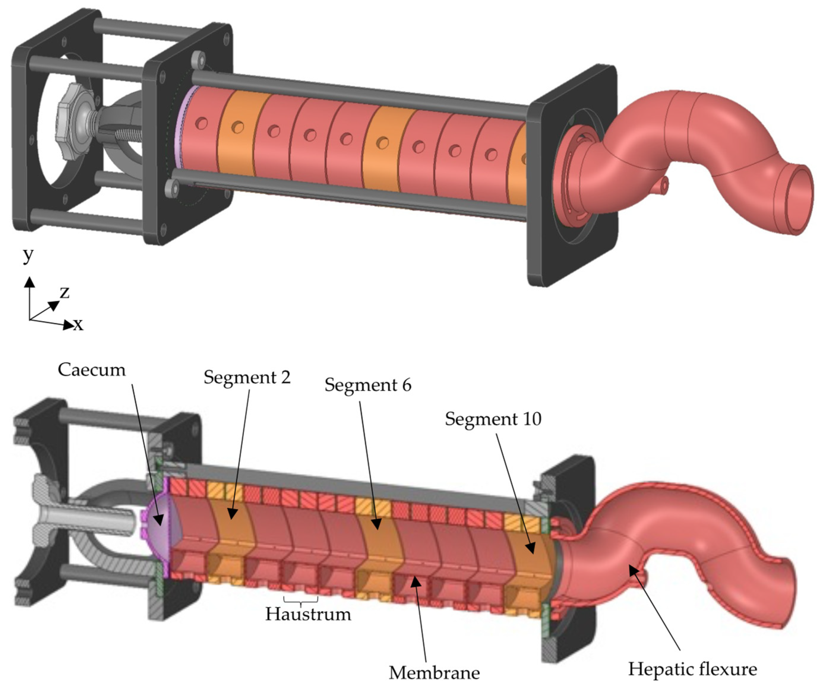 Pharmaceutics 14 00184 g001 Pharmaceutics 14 00184 g001