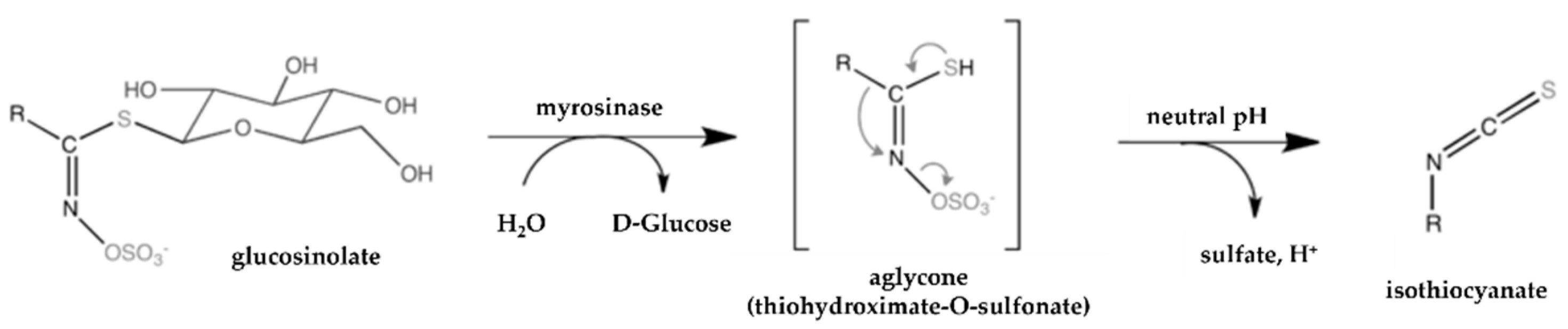 Pharmaceutics 14 00190 g002