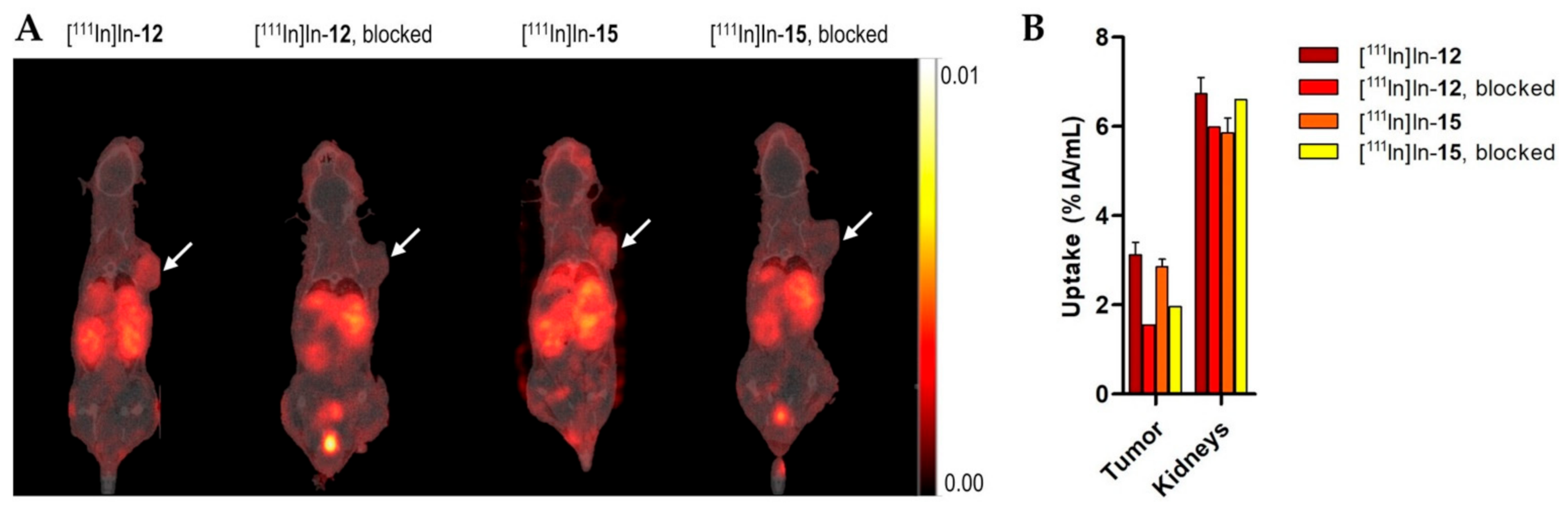 Pharmaceutics 14 00195 g002