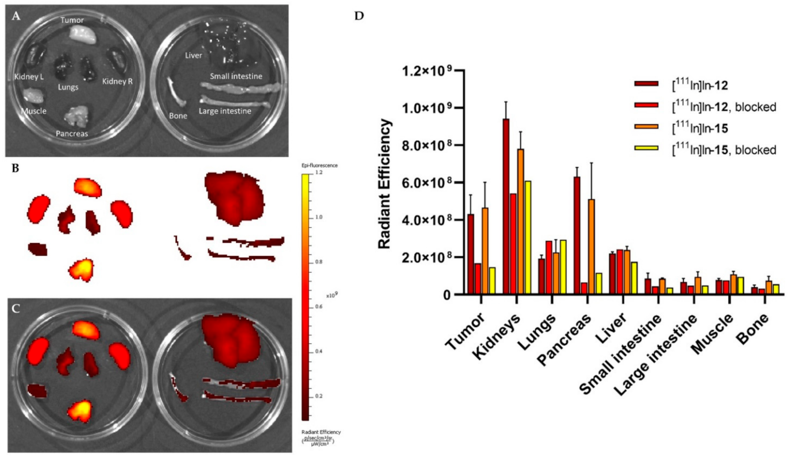 Pharmaceutics 14 00195 g004
