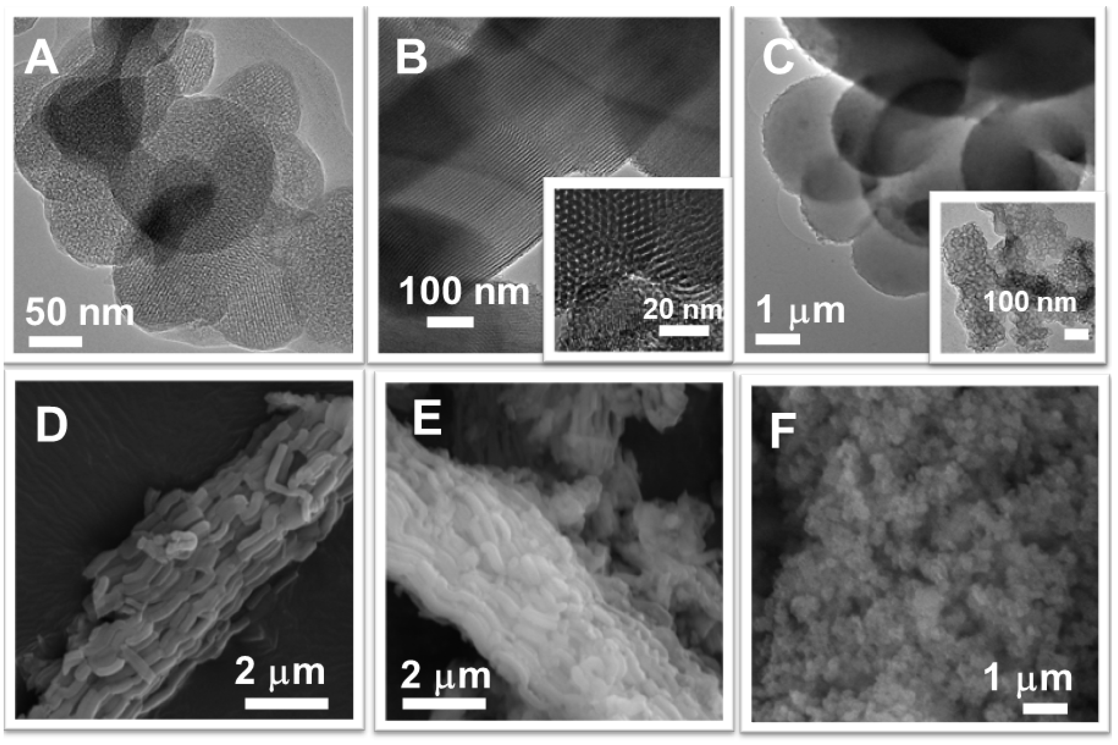 Pharmaceutics 14 00203 g004