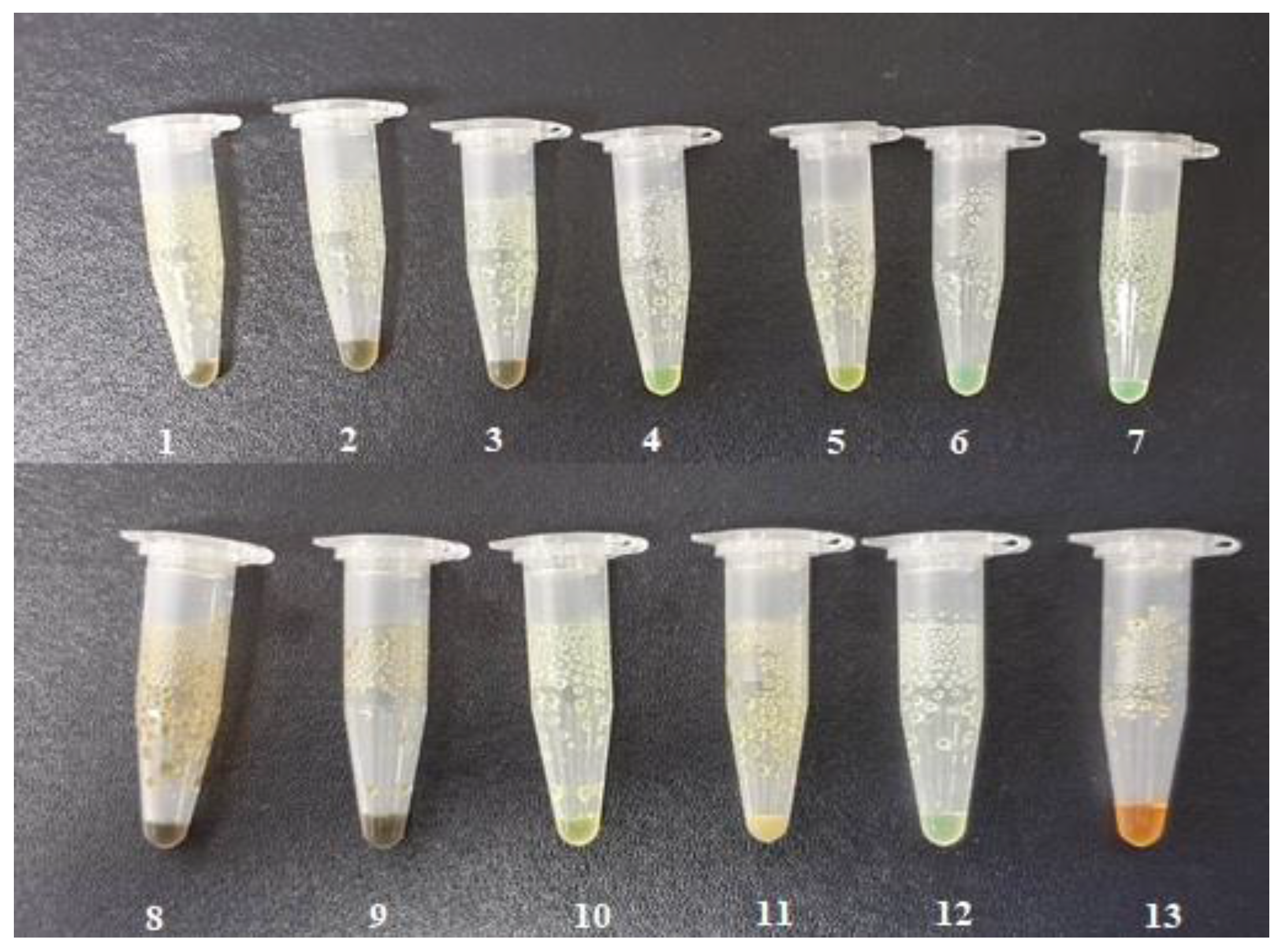 Pharmaceutics 14 00205 g001