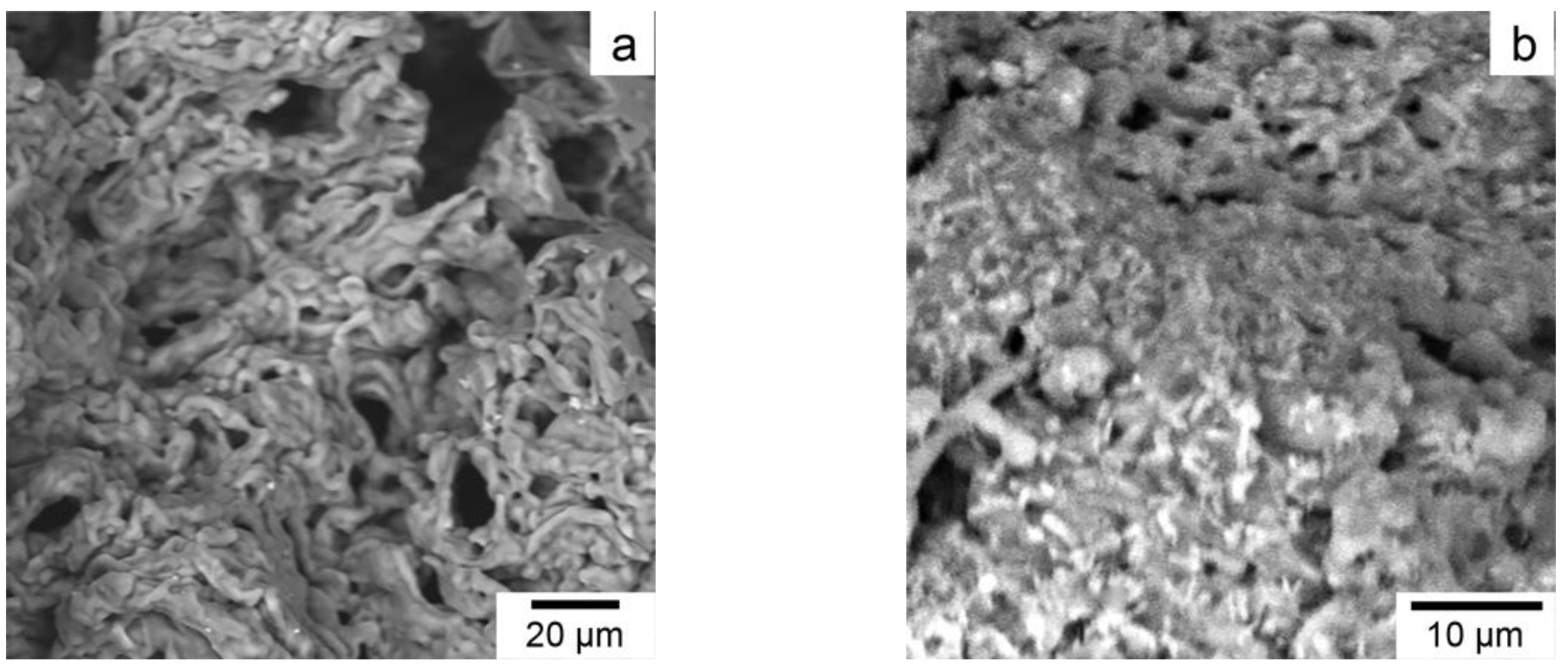 Pharmaceutics 14 00206 g006