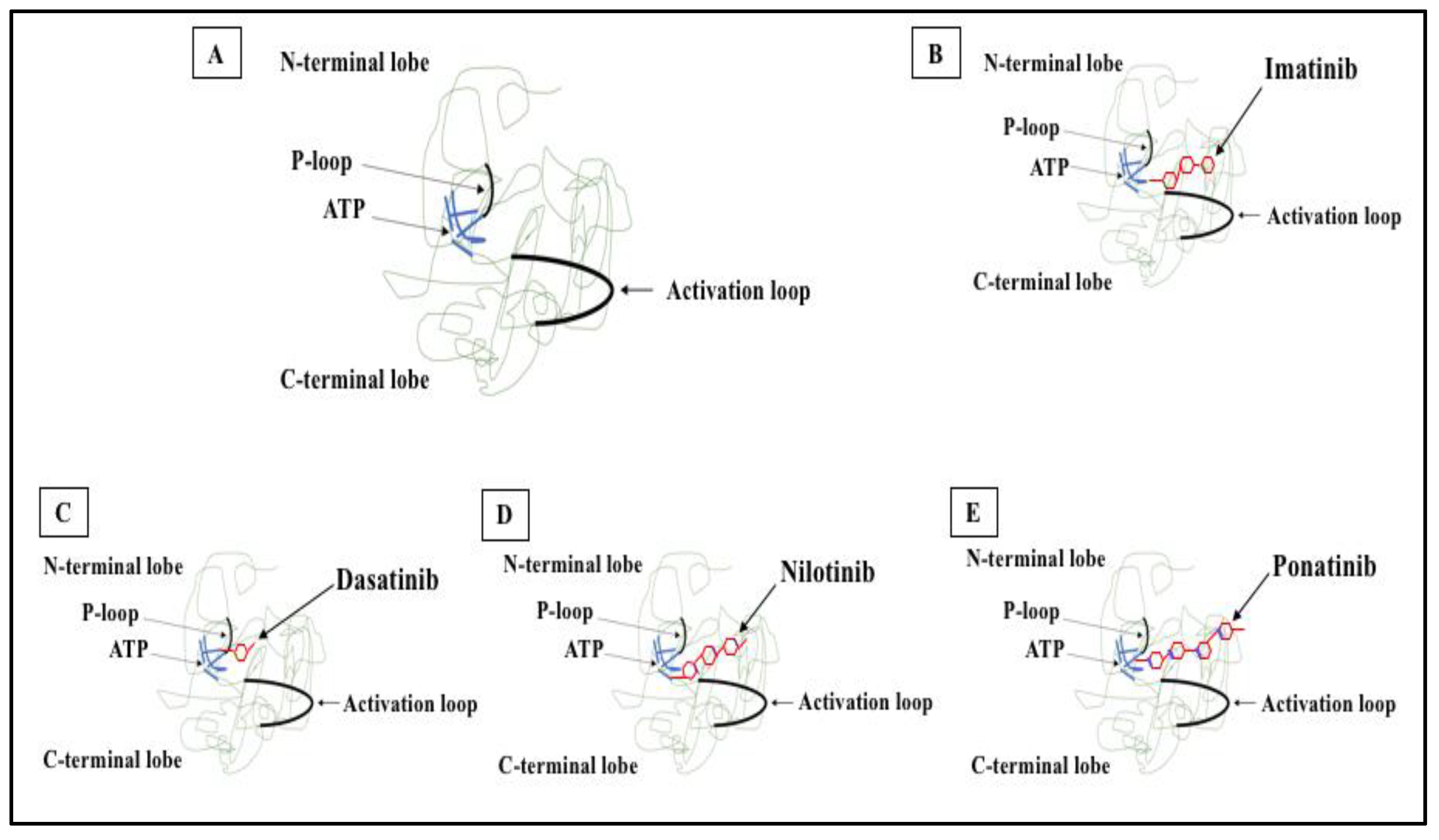Pharmaceutics 14 00215 g002