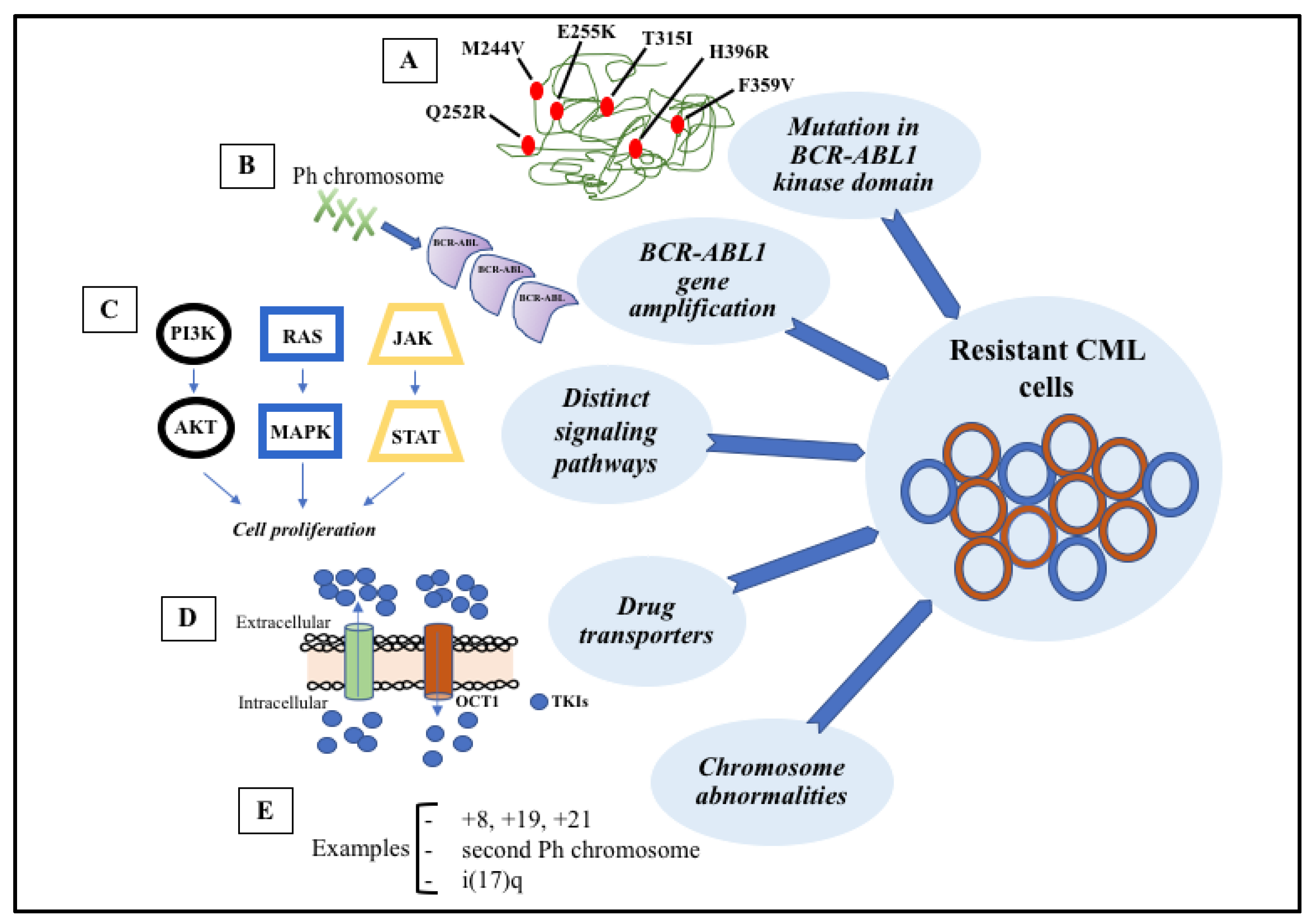 Pharmaceutics 14 00215 g003