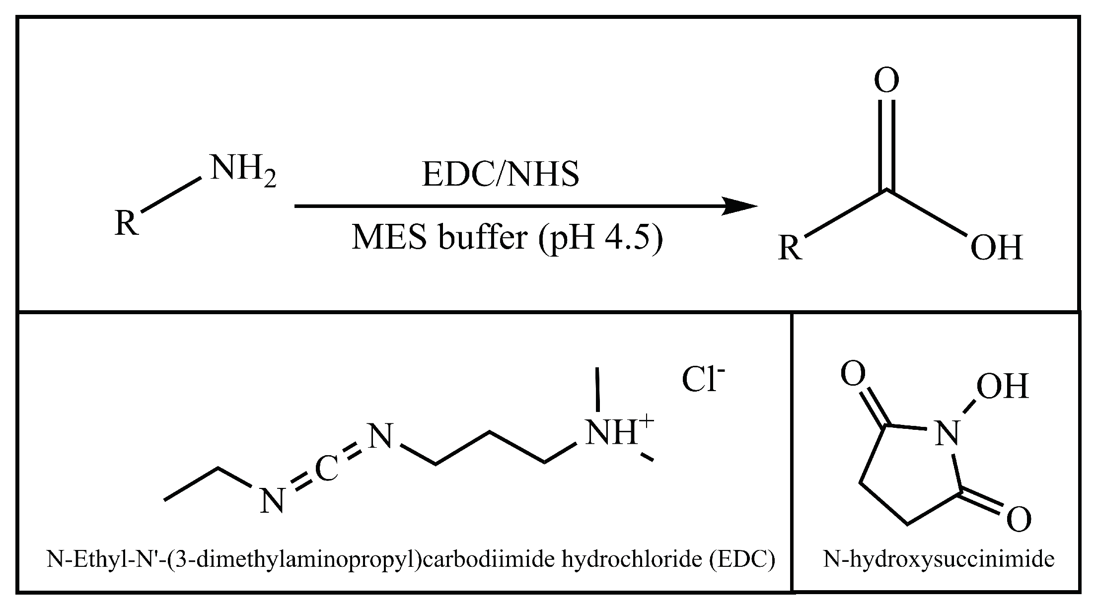 Pharmaceutics 14 00224 g002