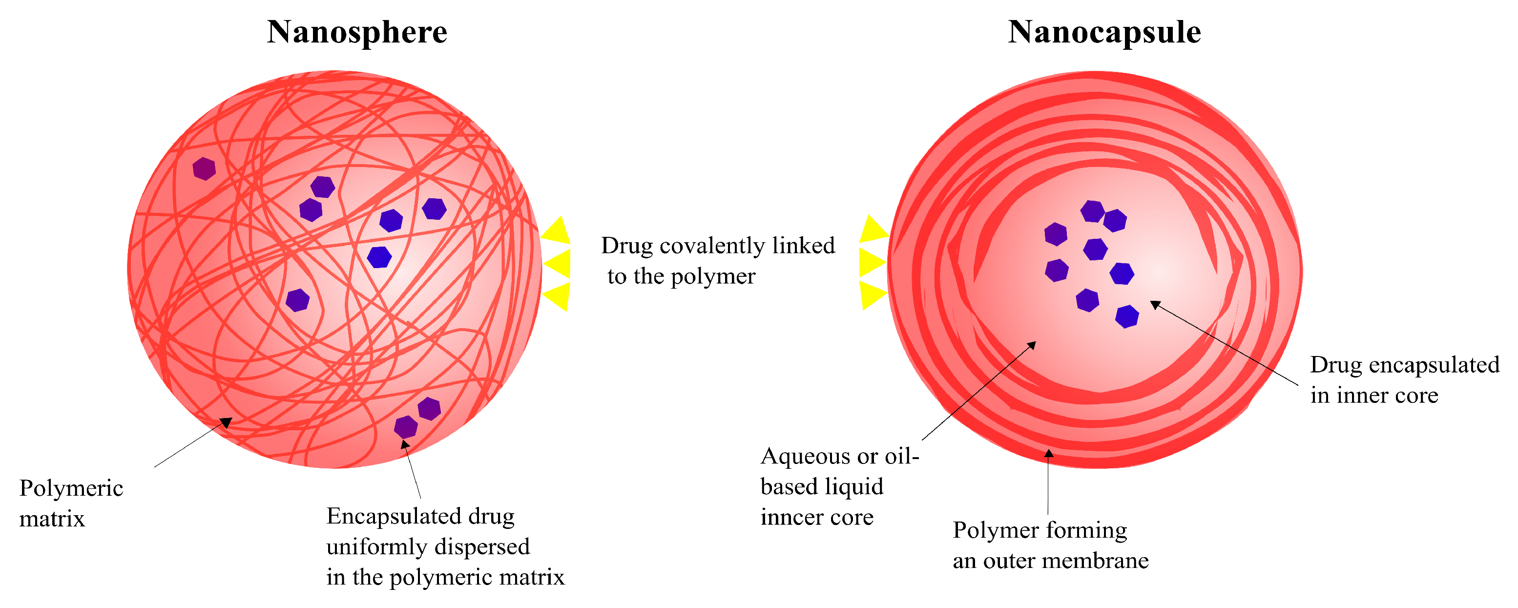 Pharmaceutics 14 00224 g013