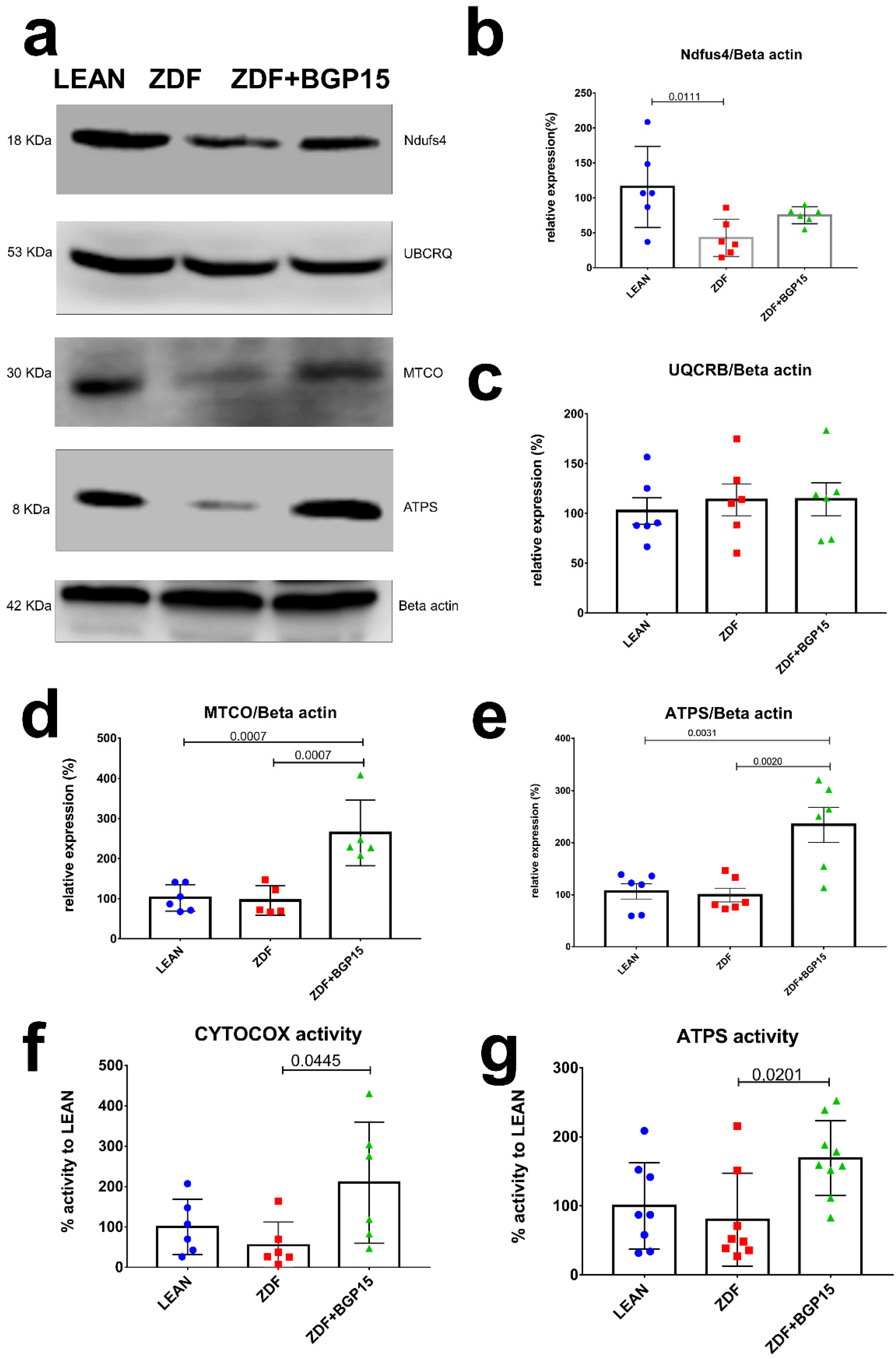 Pharmaceutics 14 00226 g003