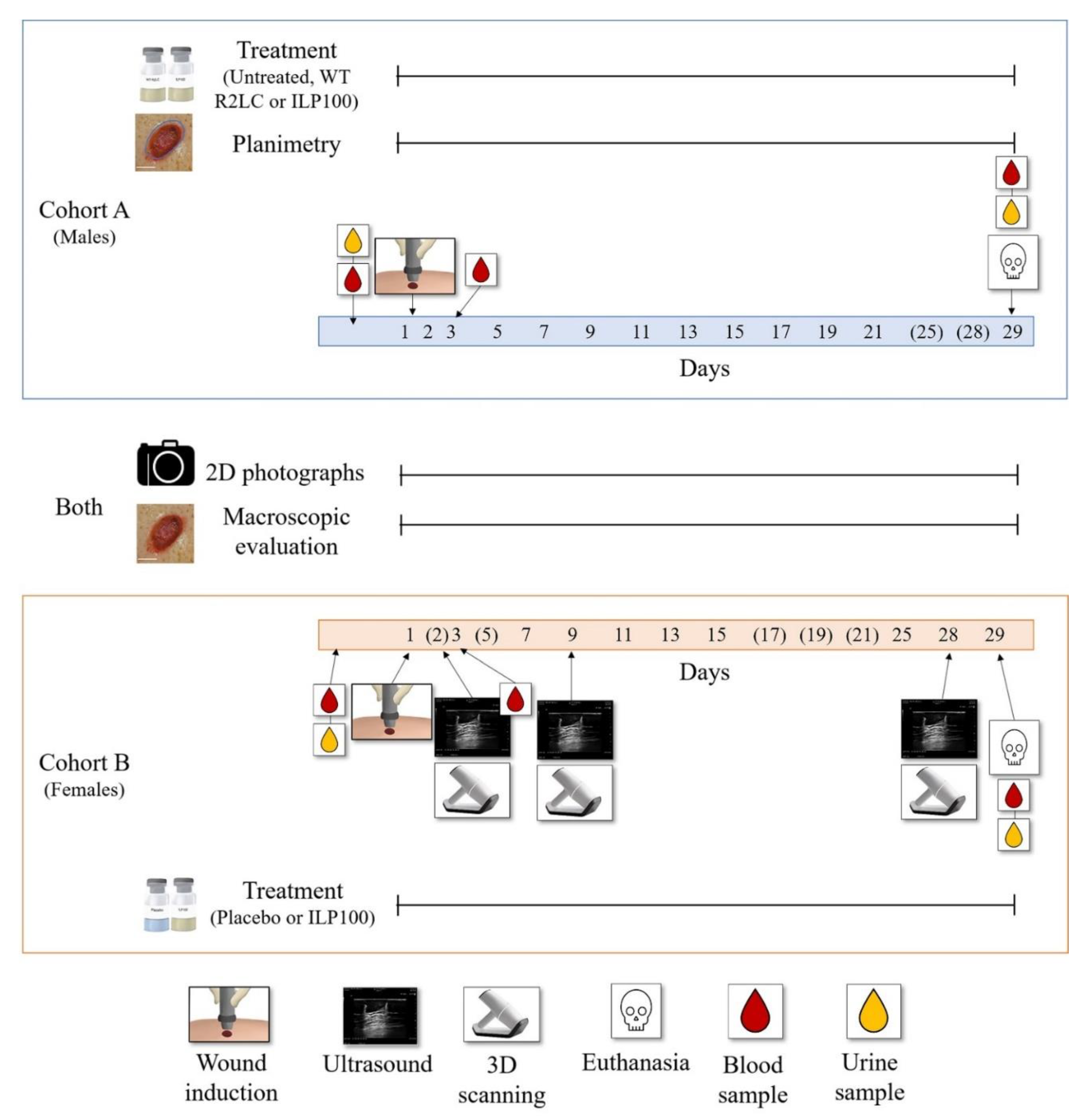 Pharmaceutics 14 00229 g001