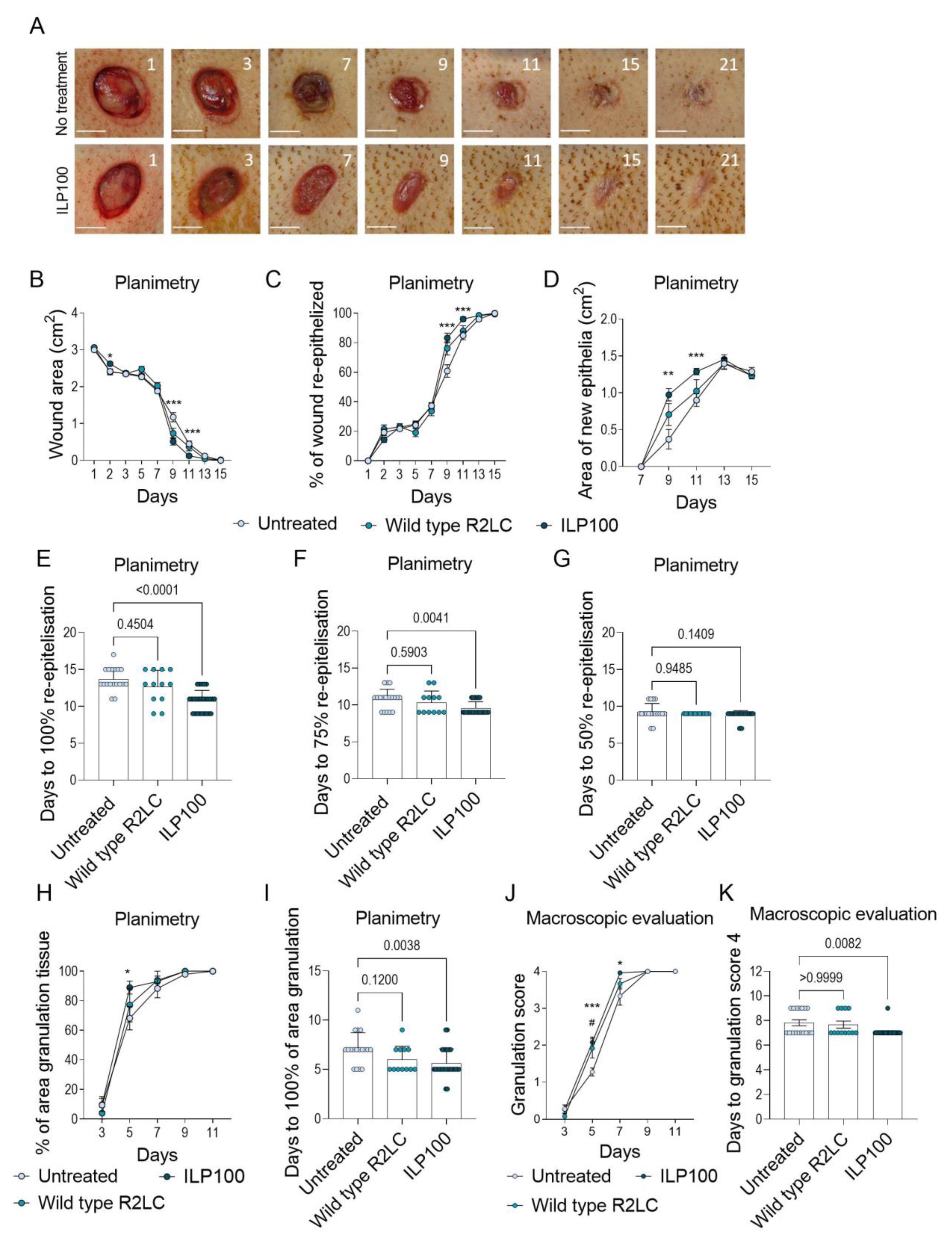 Pharmaceutics 14 00229 g003