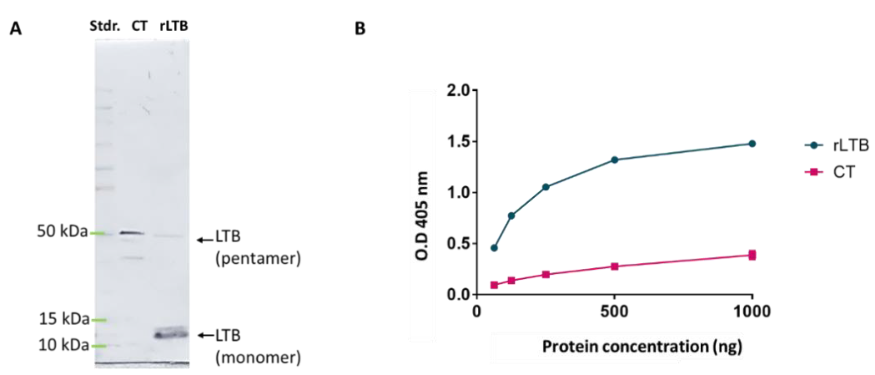 Pharmaceutics 14 00239 g002