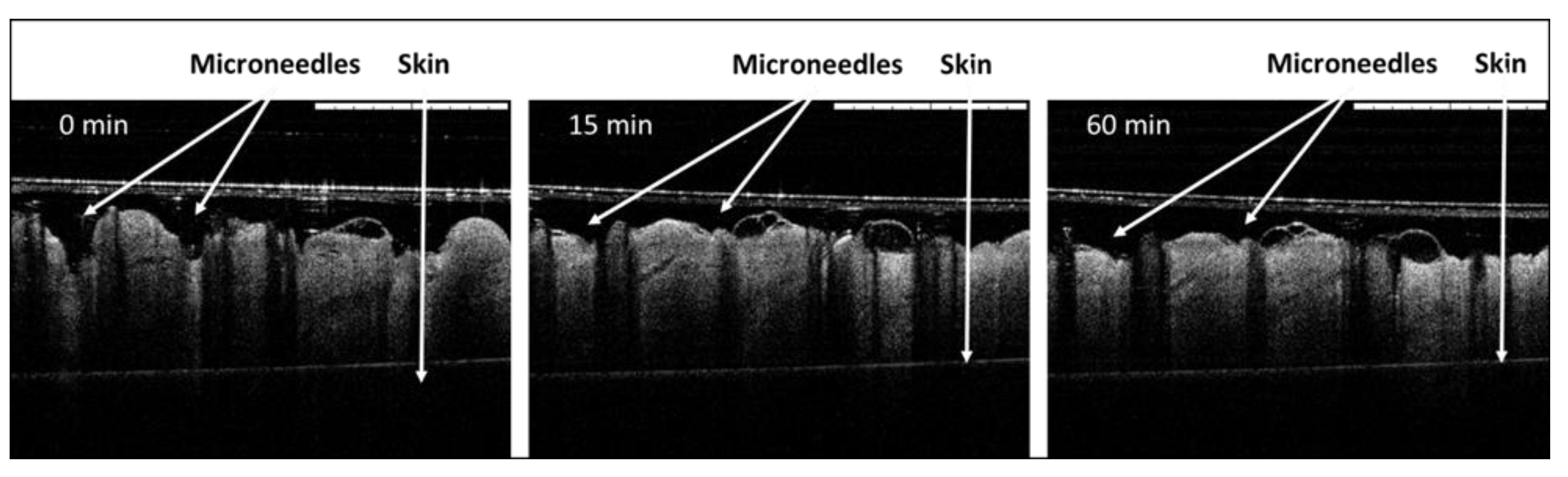 Pharmaceutics 14 00239 g004