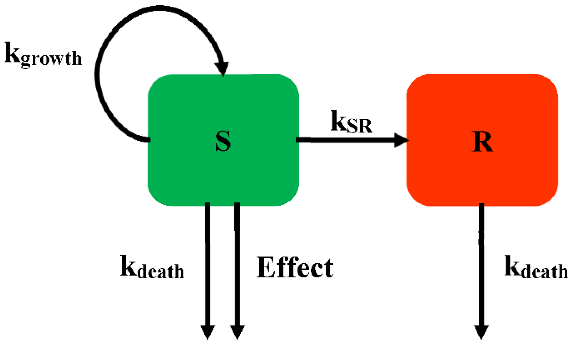 Pharmaceutics 14 00246 g003